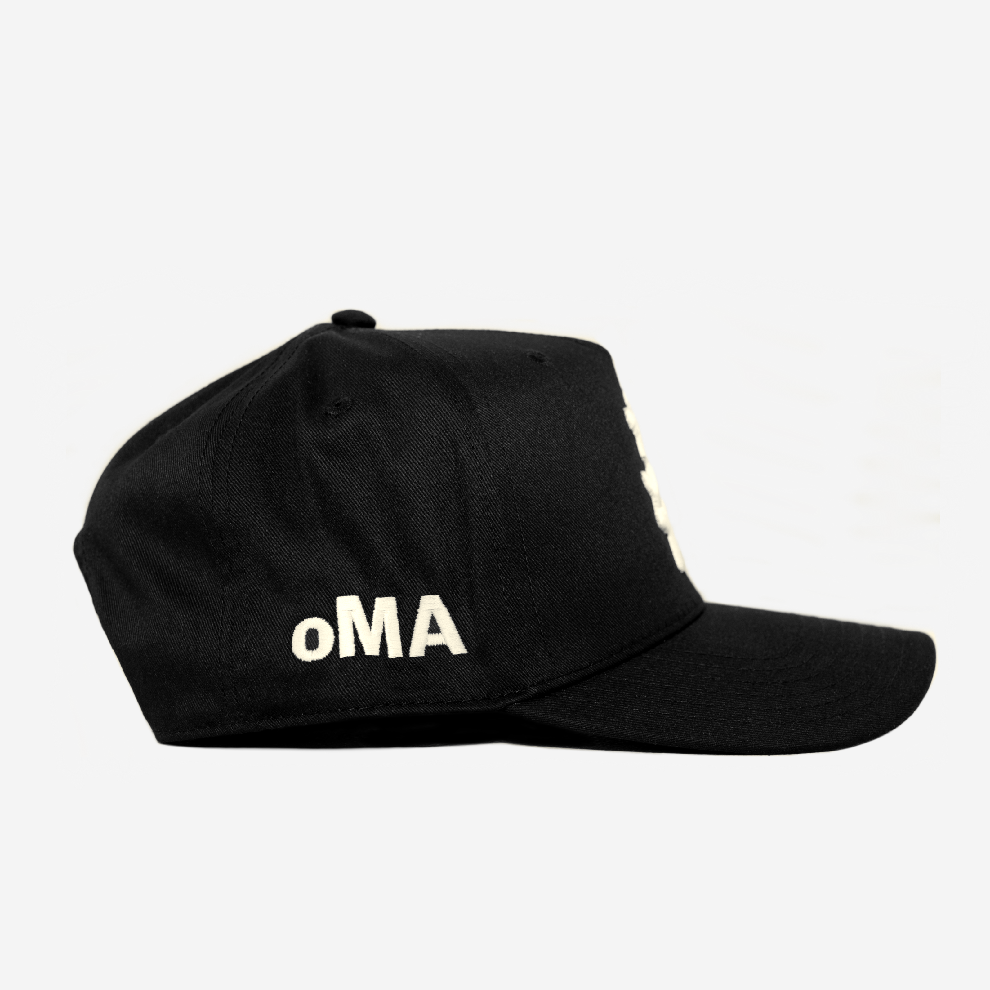 NY JAPAN CURVED BRIM HAT (BLK/CRM)