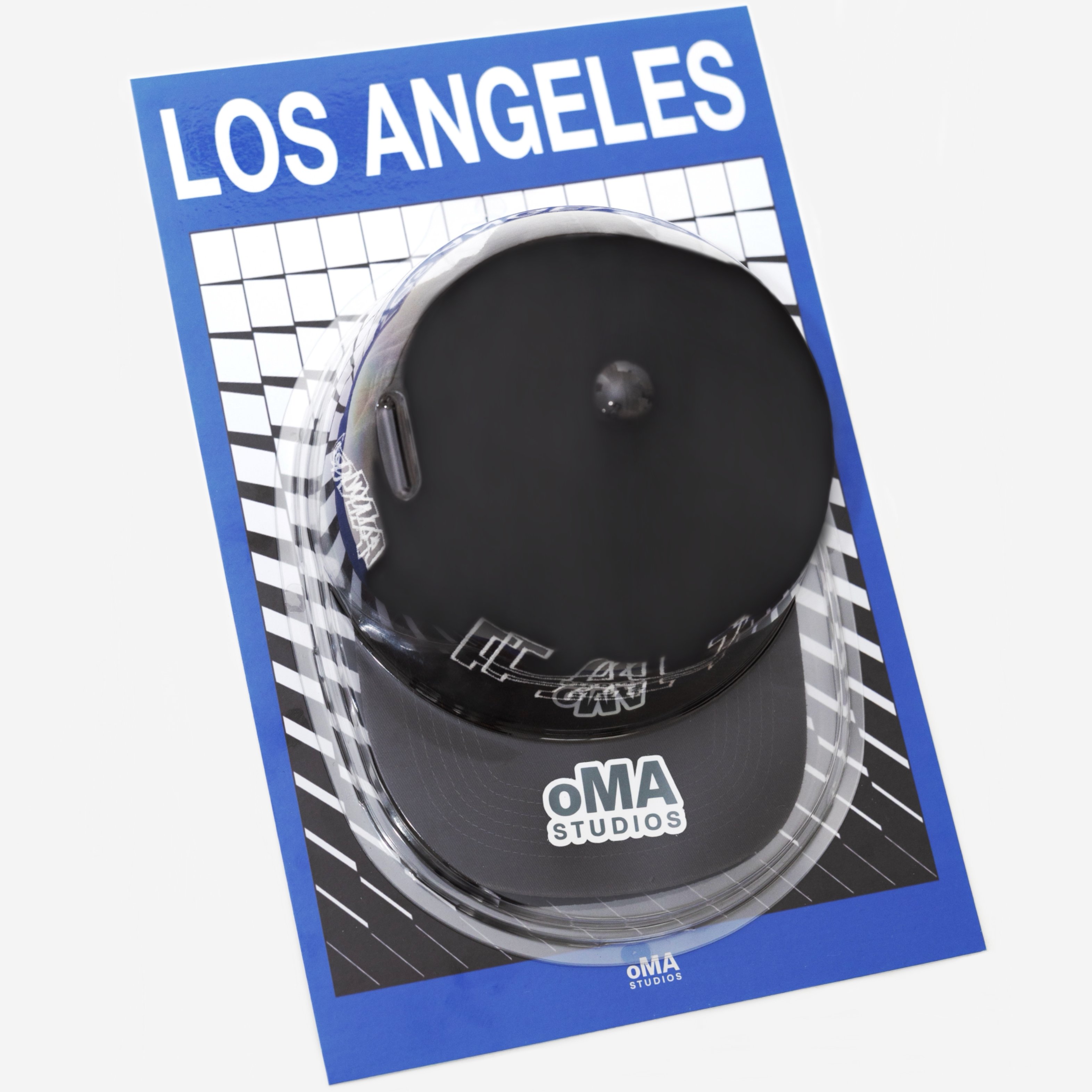LOS ANGELES ART / HAT CASE (V2)