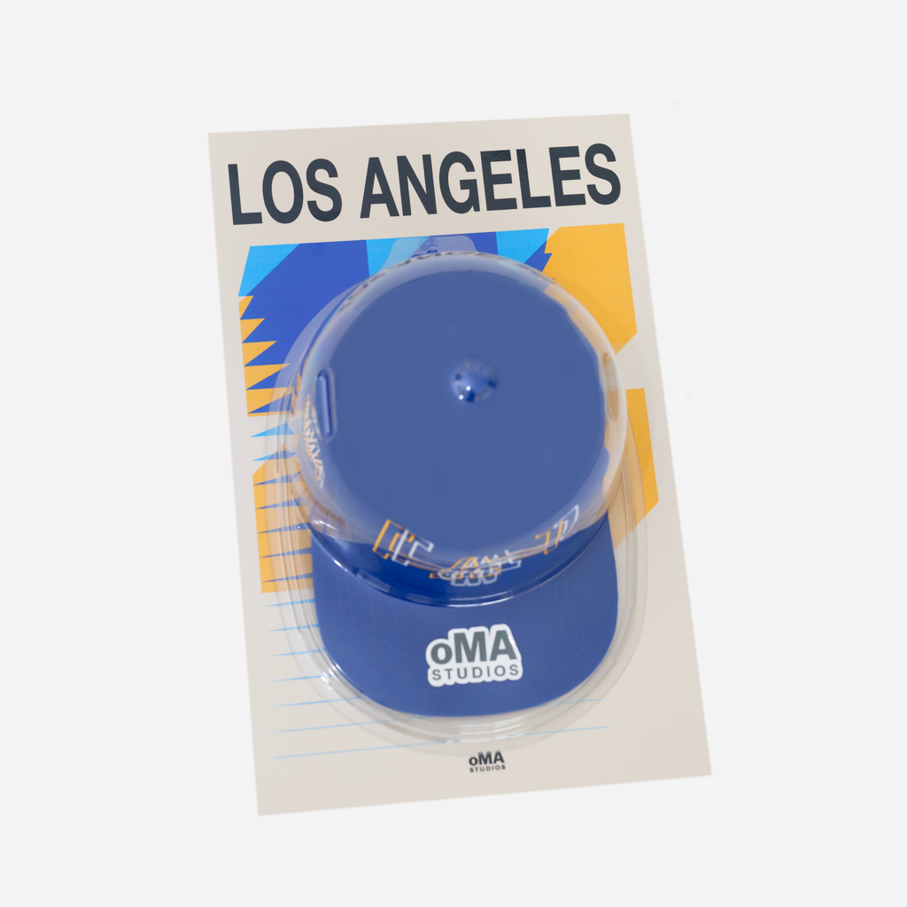 LOS ANGELES ART / HAT CASE (V1)