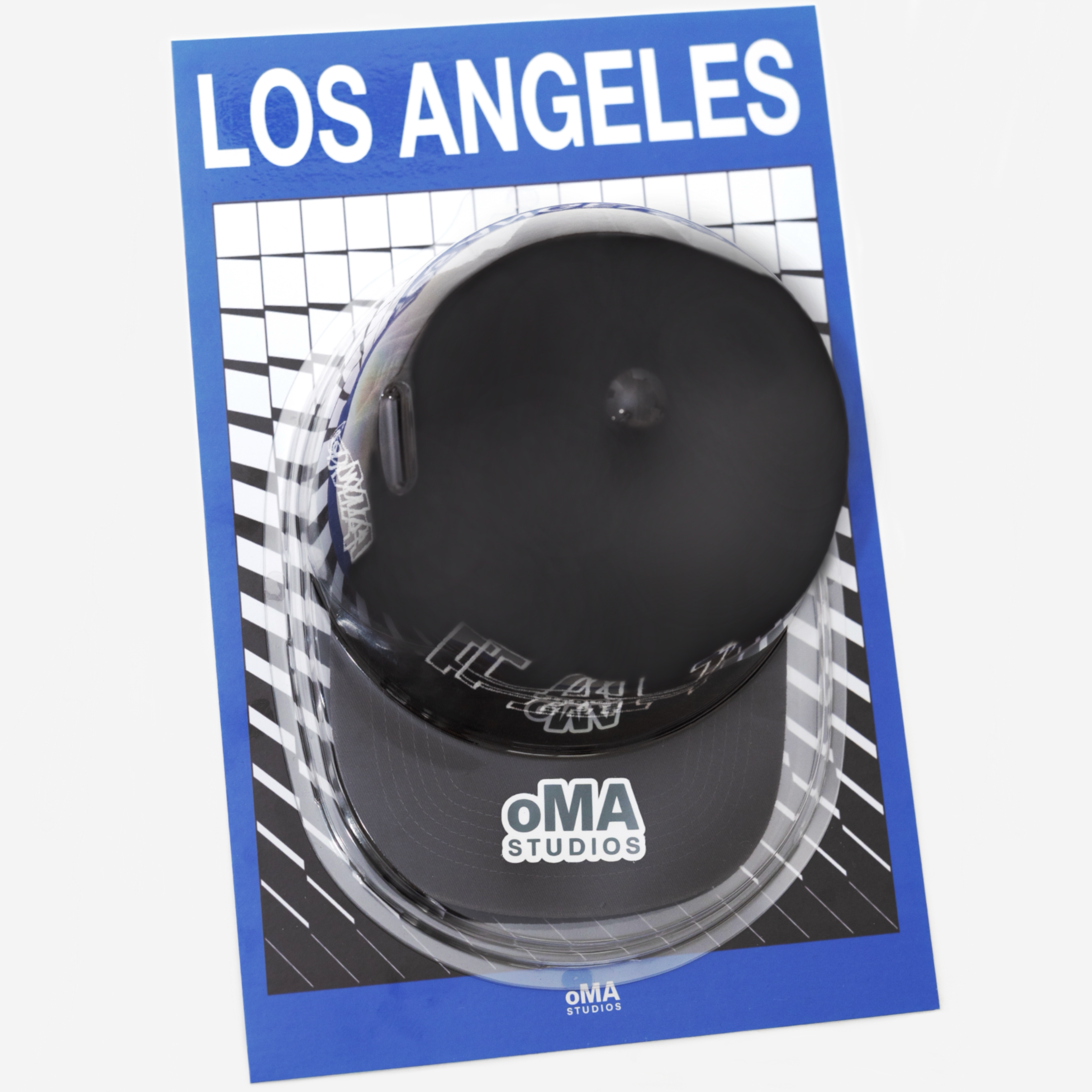 LOS ANGELES ART / HAT CASE (V20)
