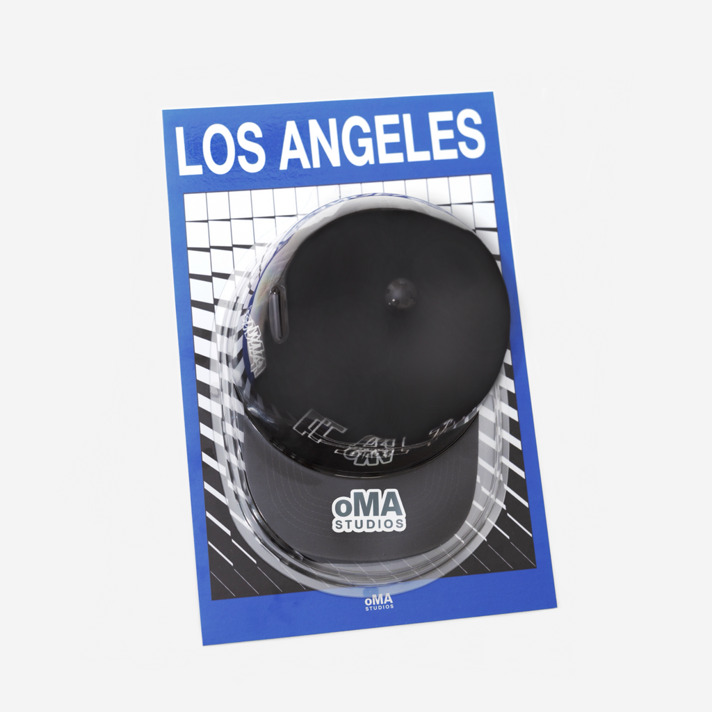 LOS ANGELES ART / HAT CASE (V20)