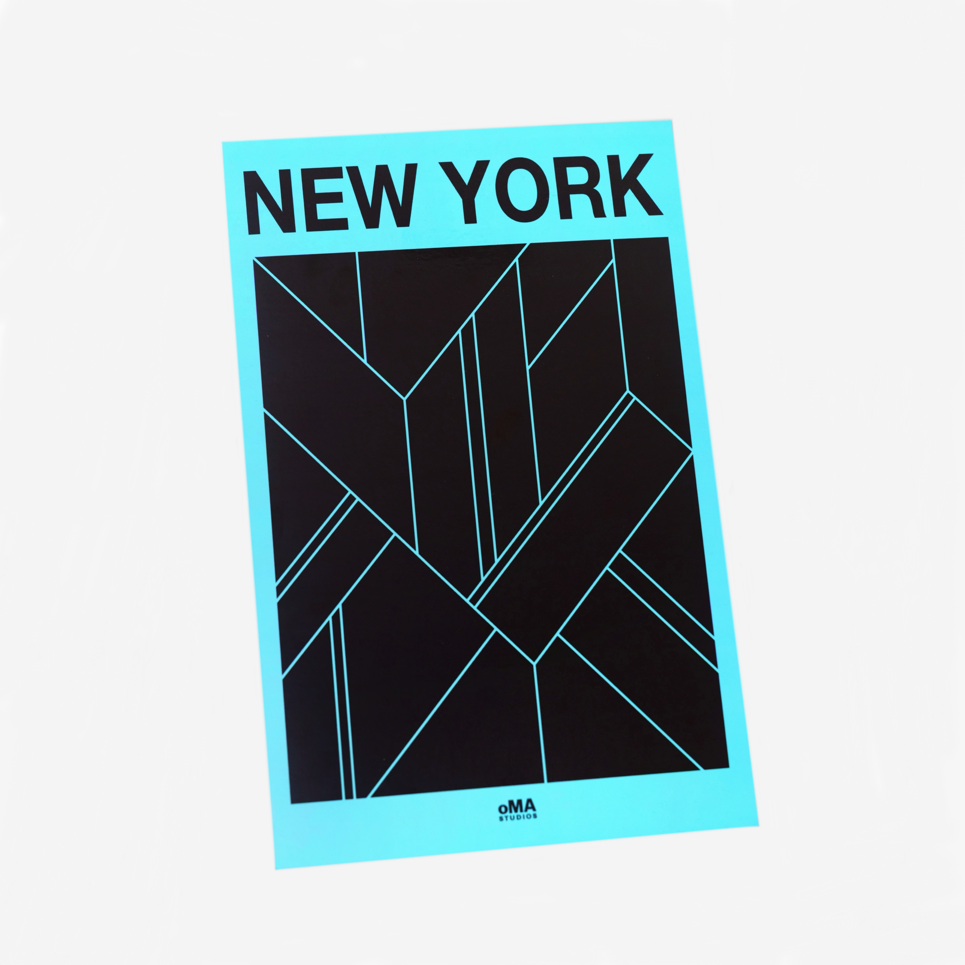 NEW YORK ART / HAT CASE (V17)