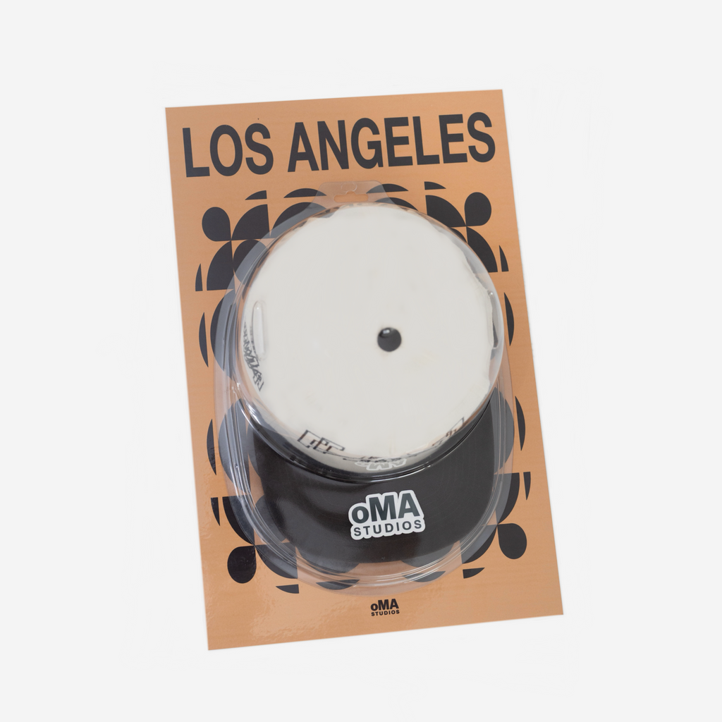 LOS ANGELES ART / HAT CASE (V17)