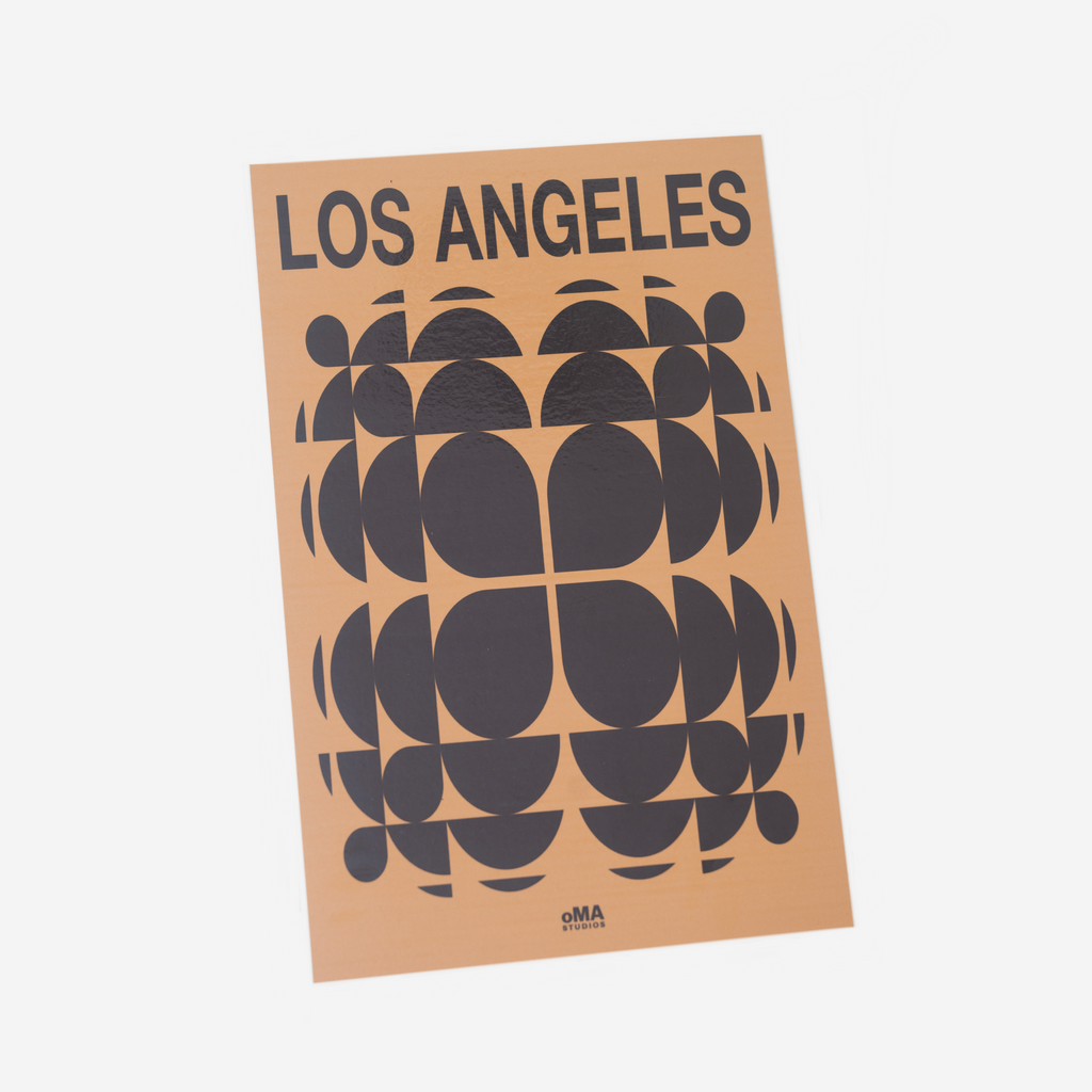 LOS ANGELES ART / HAT CASE (V17)