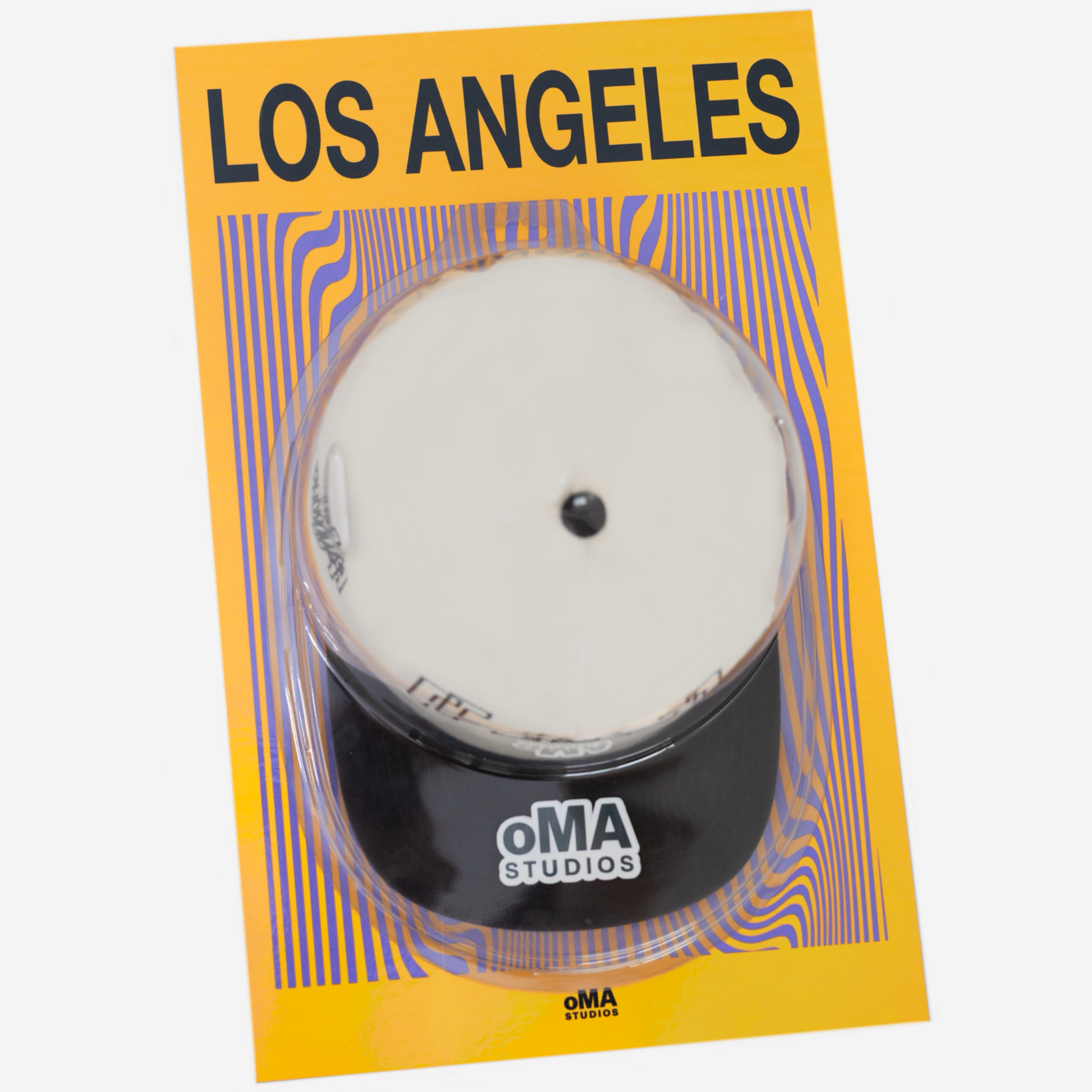 LOS ANGELES ART / HAT CASE (V6)