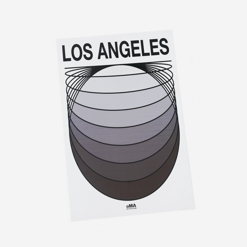 LOS ANGELES ART / HAT CASE (V16)