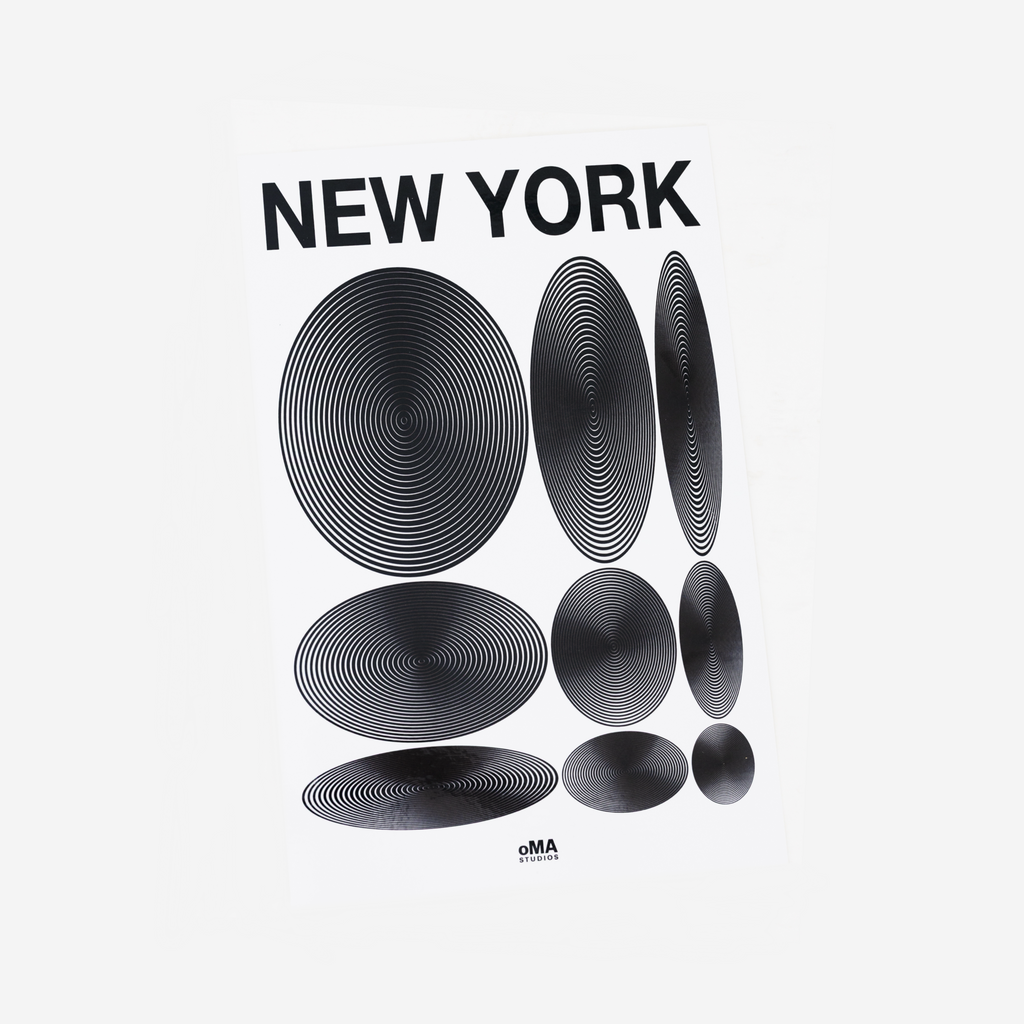 NEW YORK ART / HAT CASE (V18)