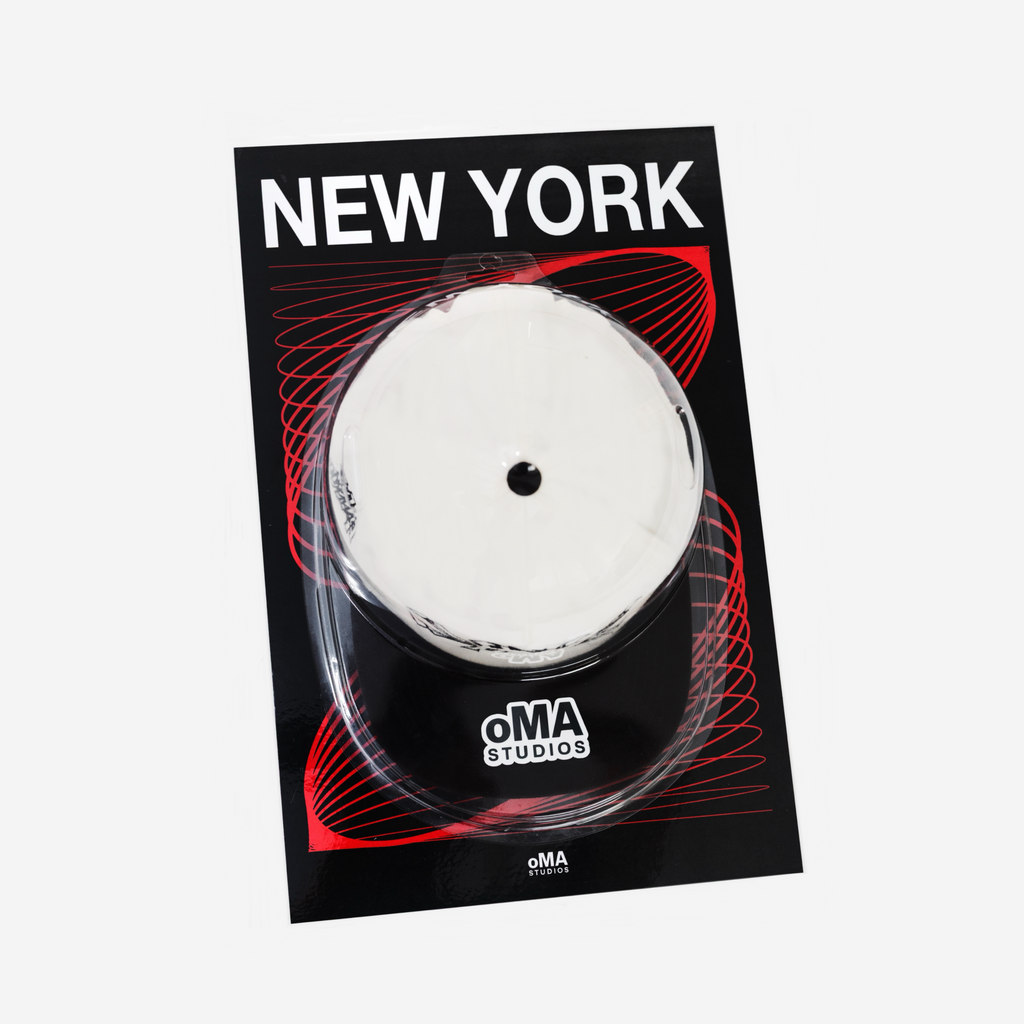 NEW YORK ART / HAT CASE (V8)