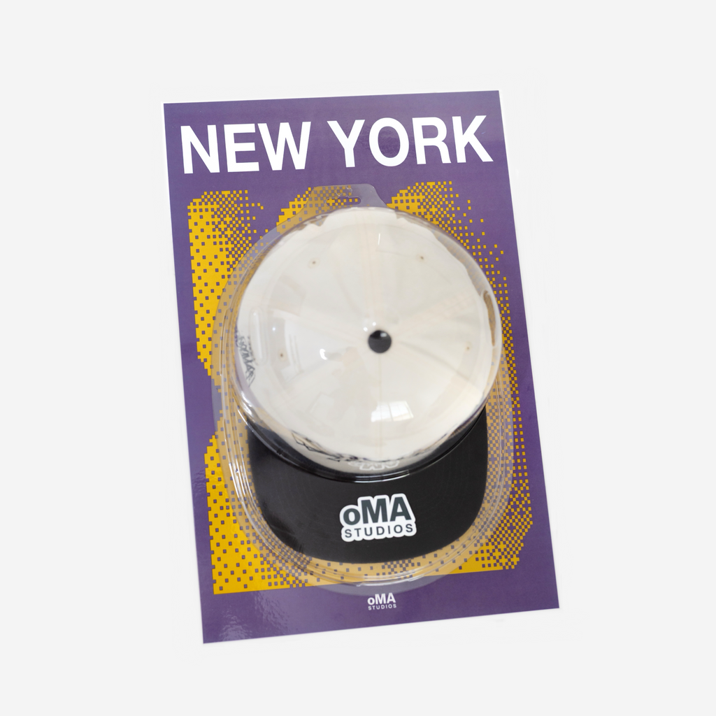 NEW YORK ART / HAT CASE (V4)