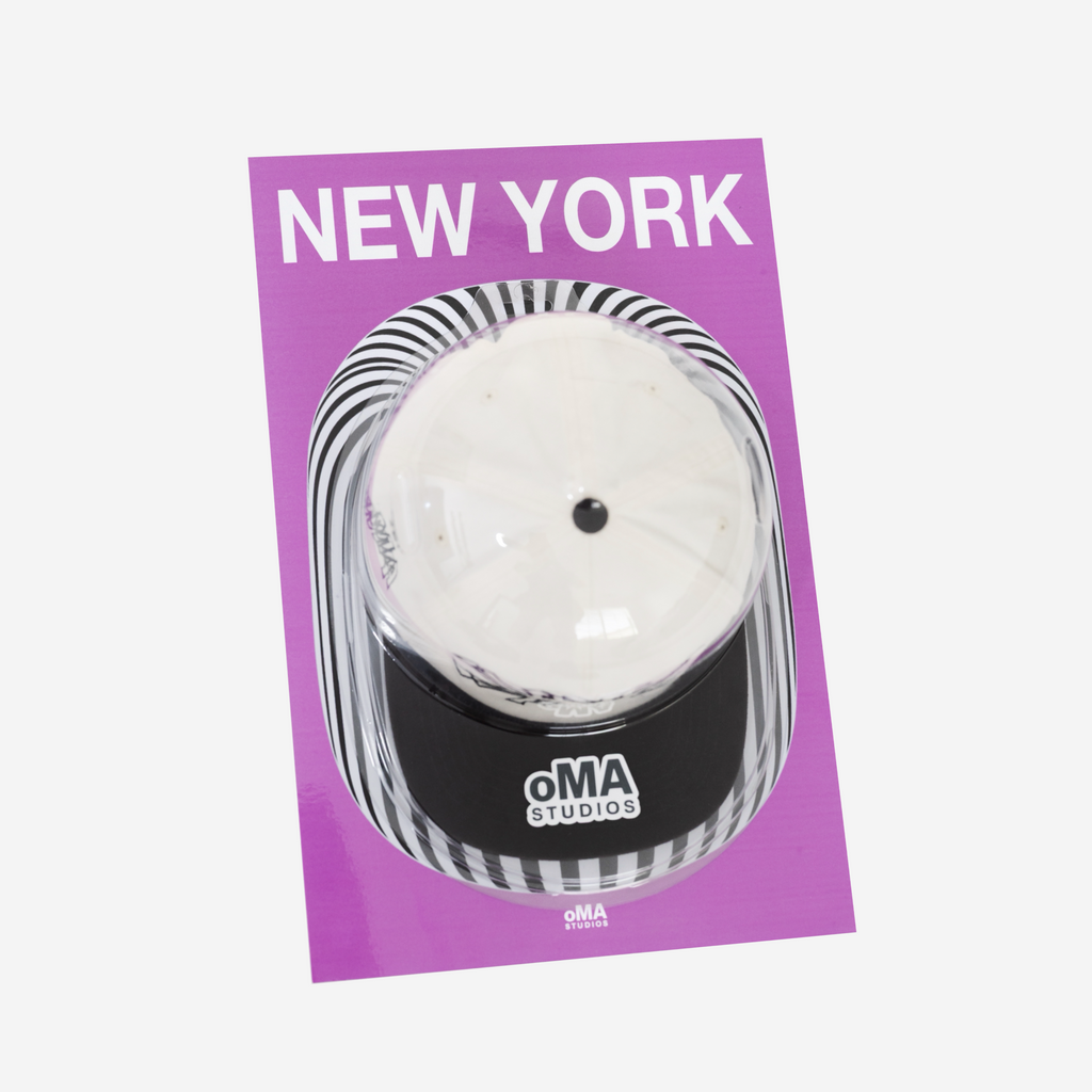 NEW YORK ART / HAT CASE (V2)
