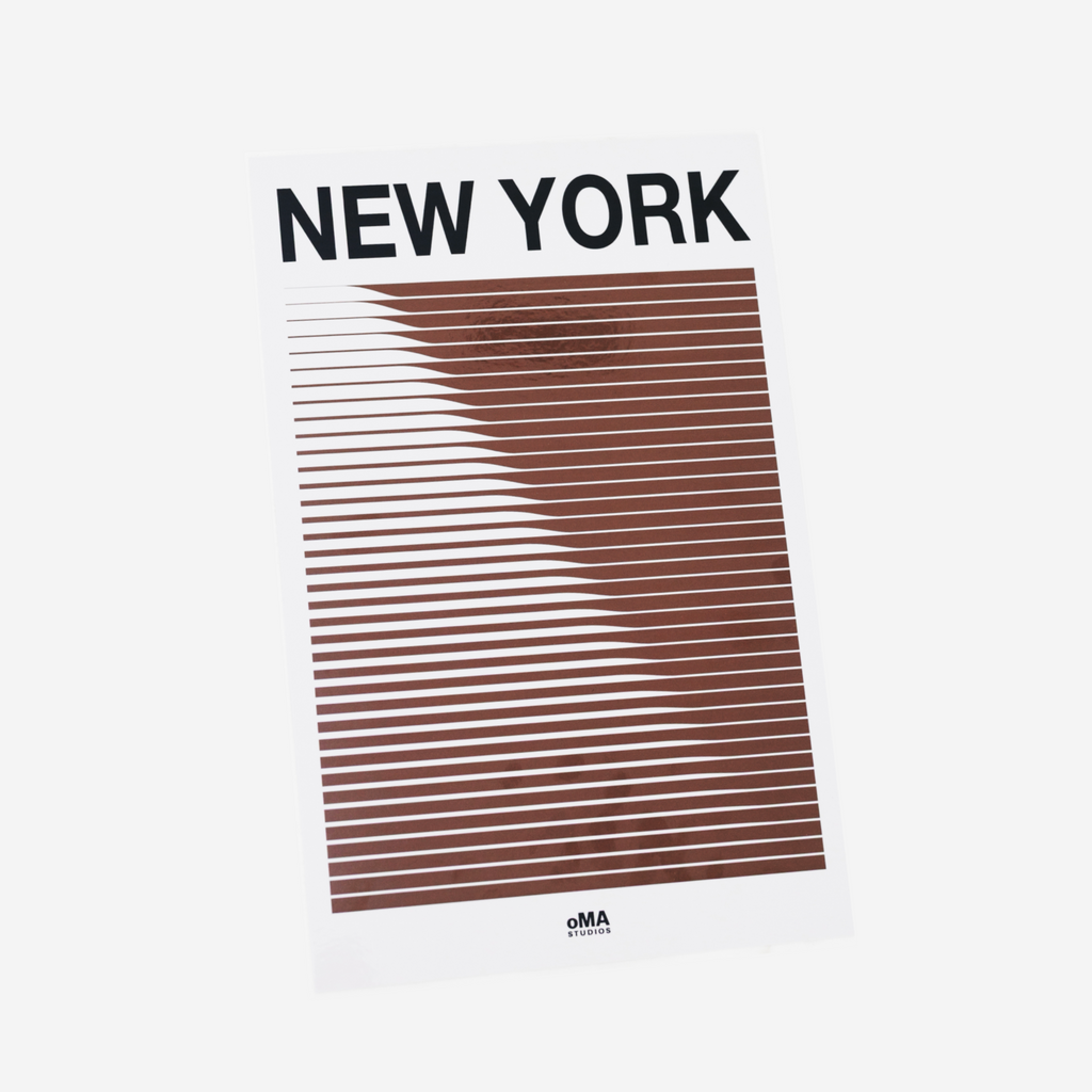 NEW YORK ART / HAT CASE (V11)