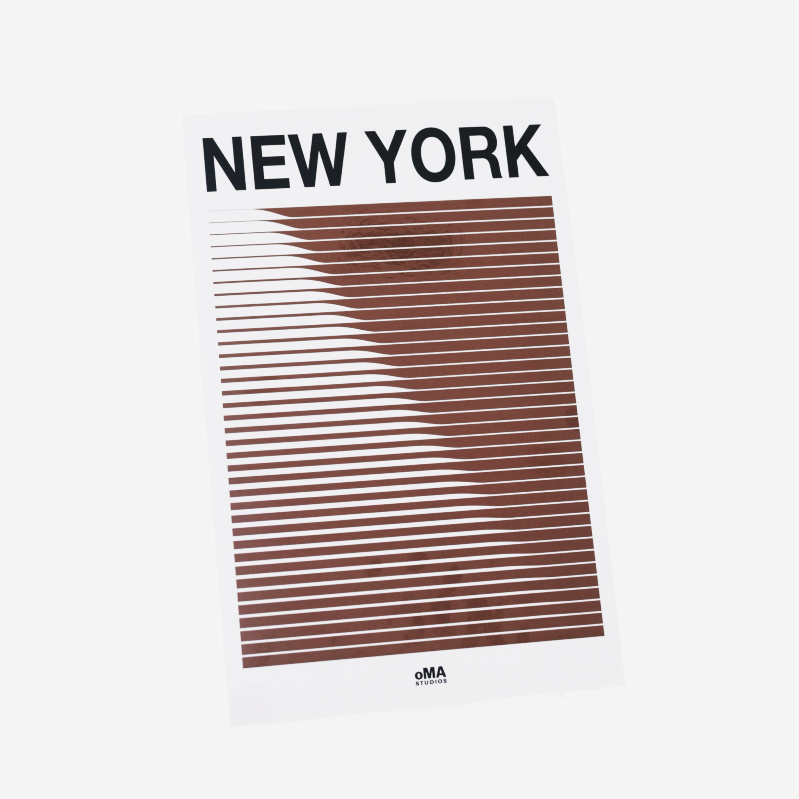 NEW YORK ART / HAT CASE (V11)