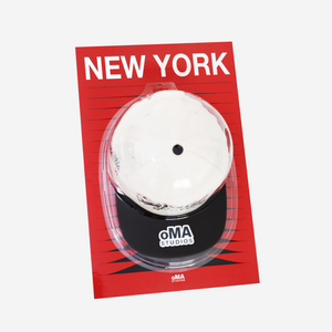 NEW YORK ART / HAT CASE (V11)
