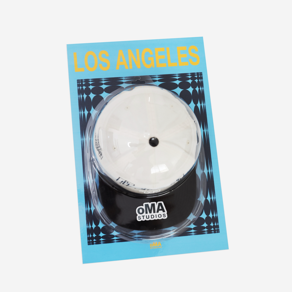 LOS ANGELES ART / HAT CASE (V11)