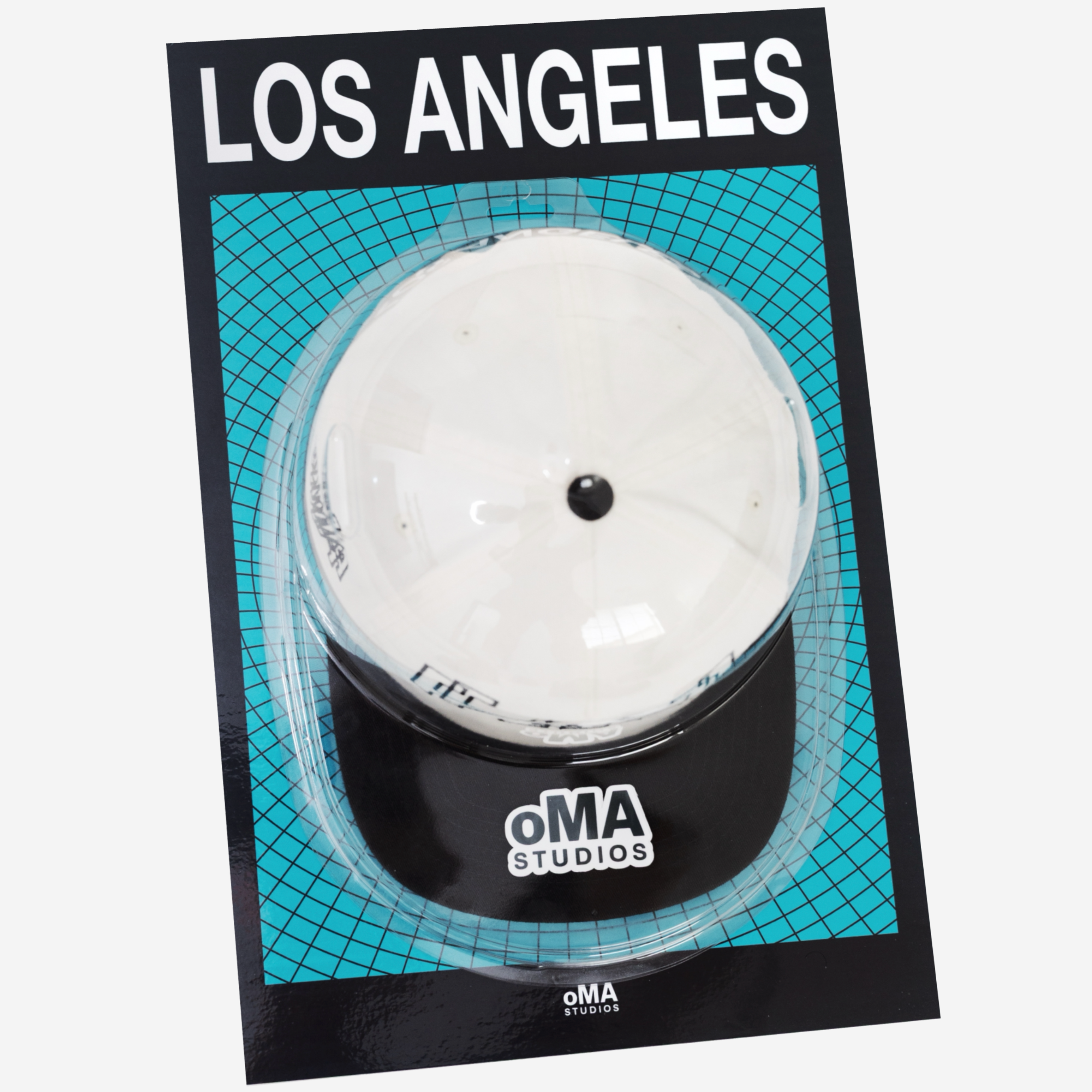 LOS ANGELES ART / HAT CASE (V10)
