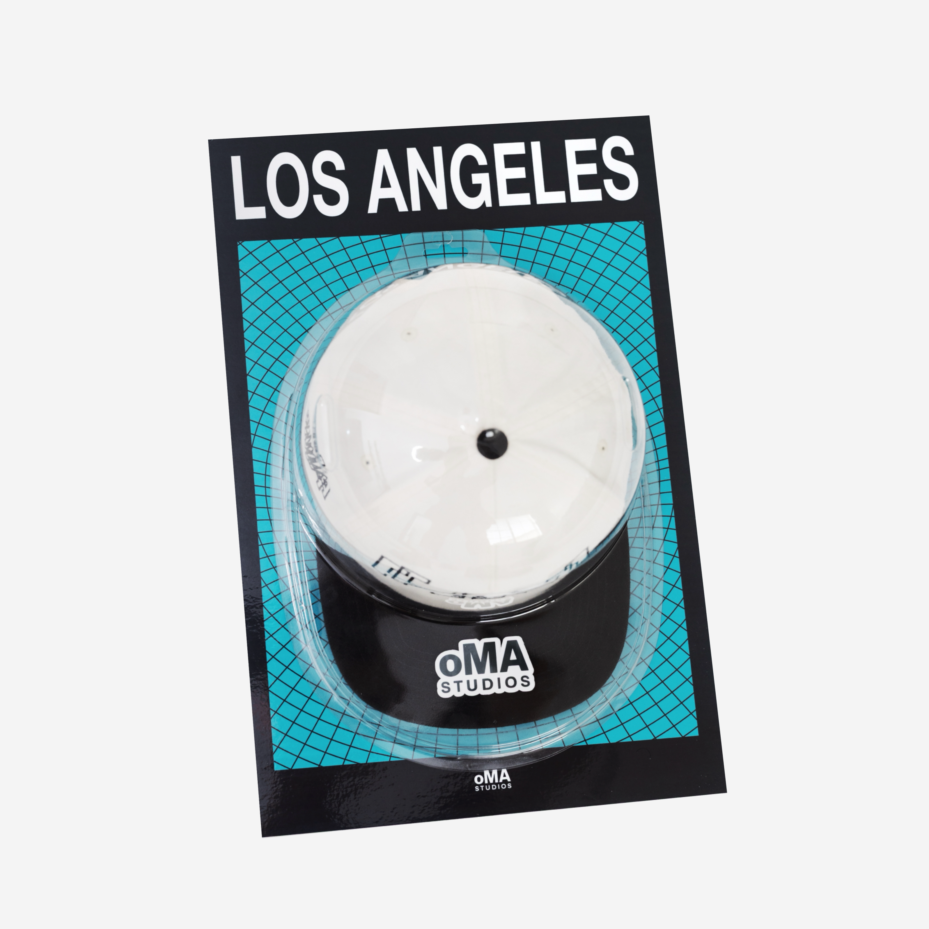 LOS ANGELES ART / HAT CASE (V10)