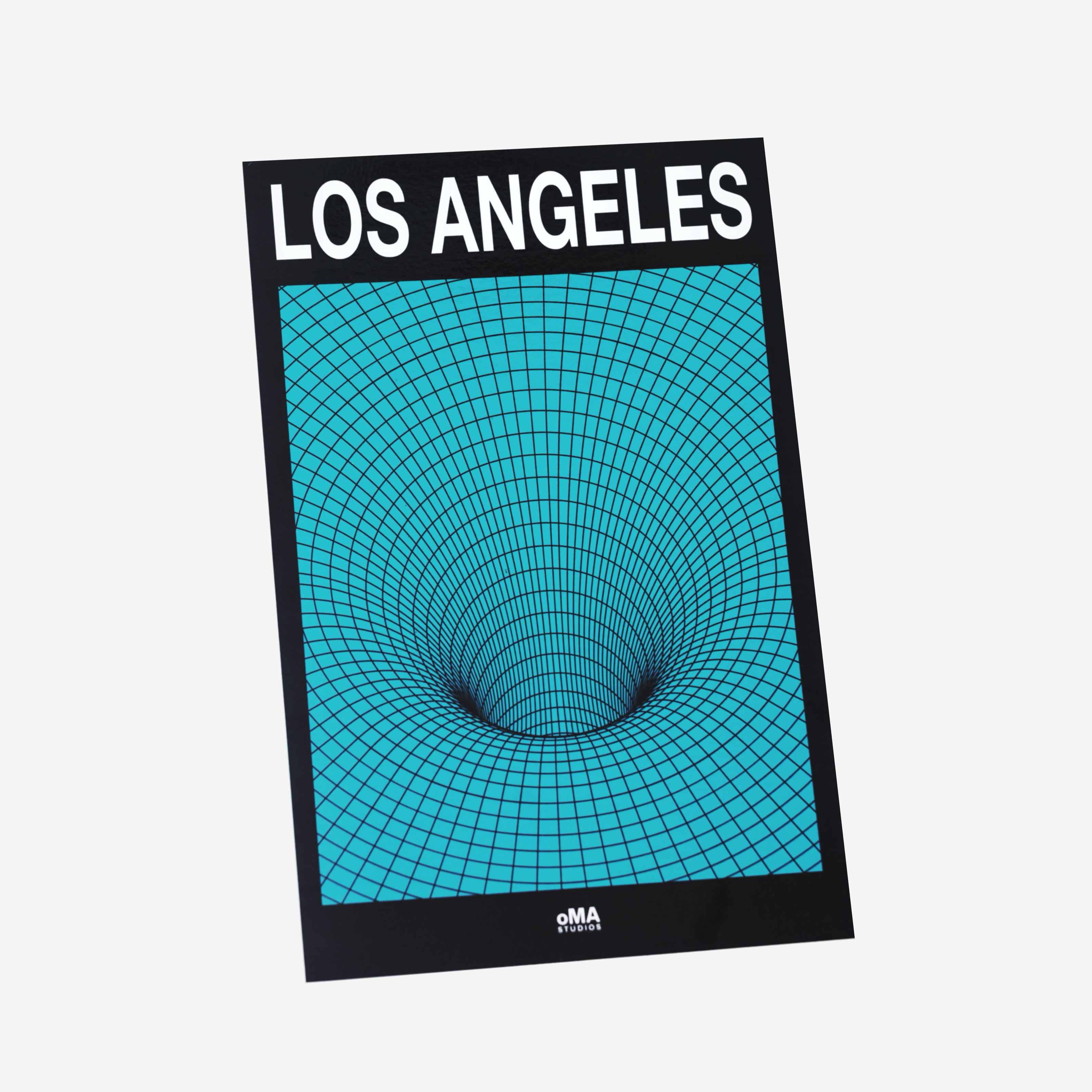 LOS ANGELES ART / HAT CASE (V10)