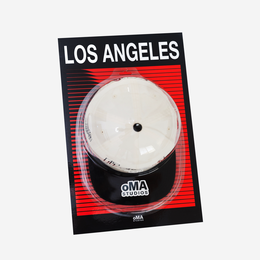 LOS ANGELES ART / HAT CASE (V8)