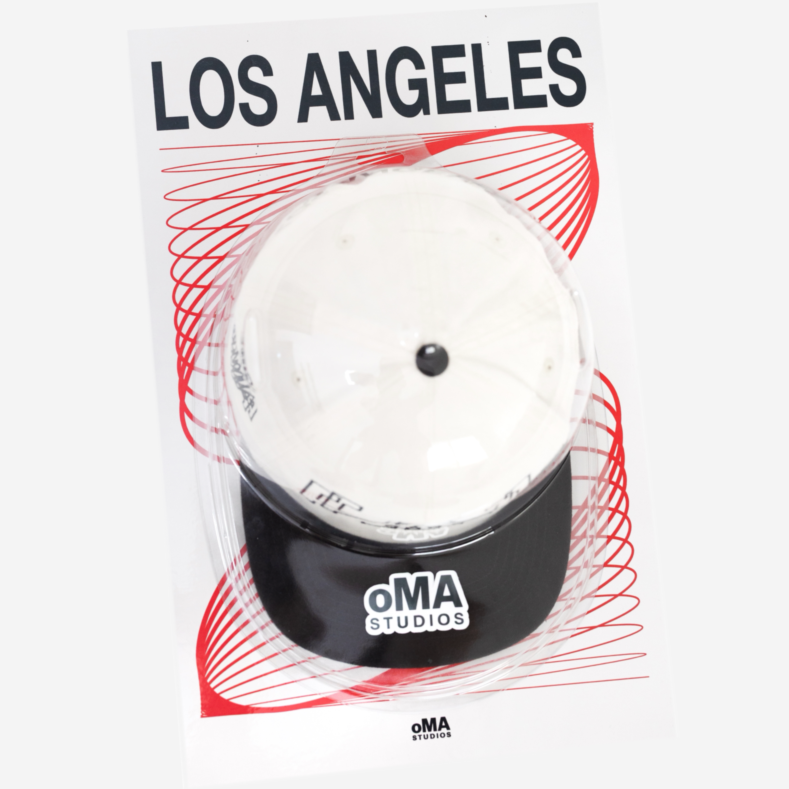 LOS ANGELES ART / HAT CASE (V7)