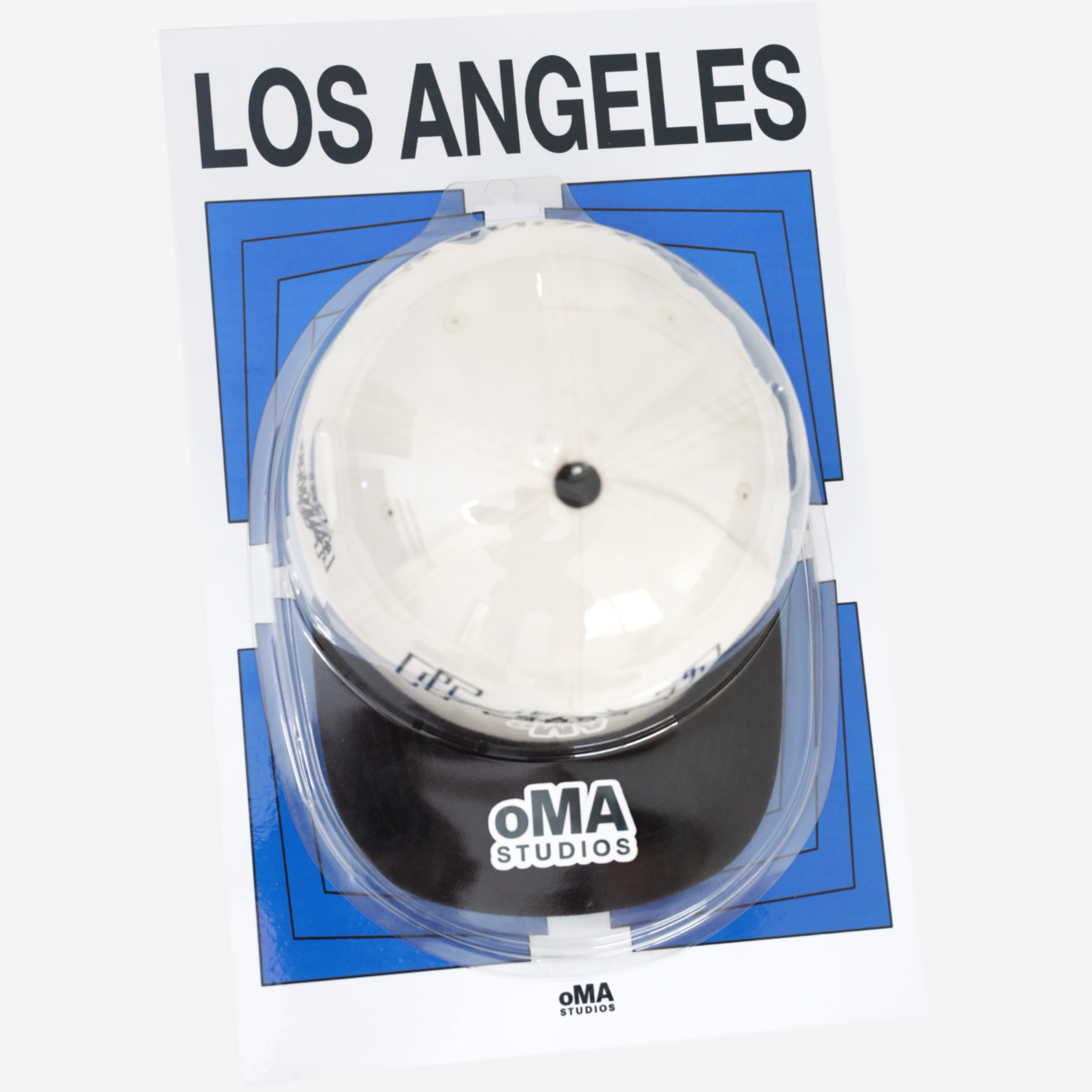 LOS ANGELES ART / HAT CASE (V5)