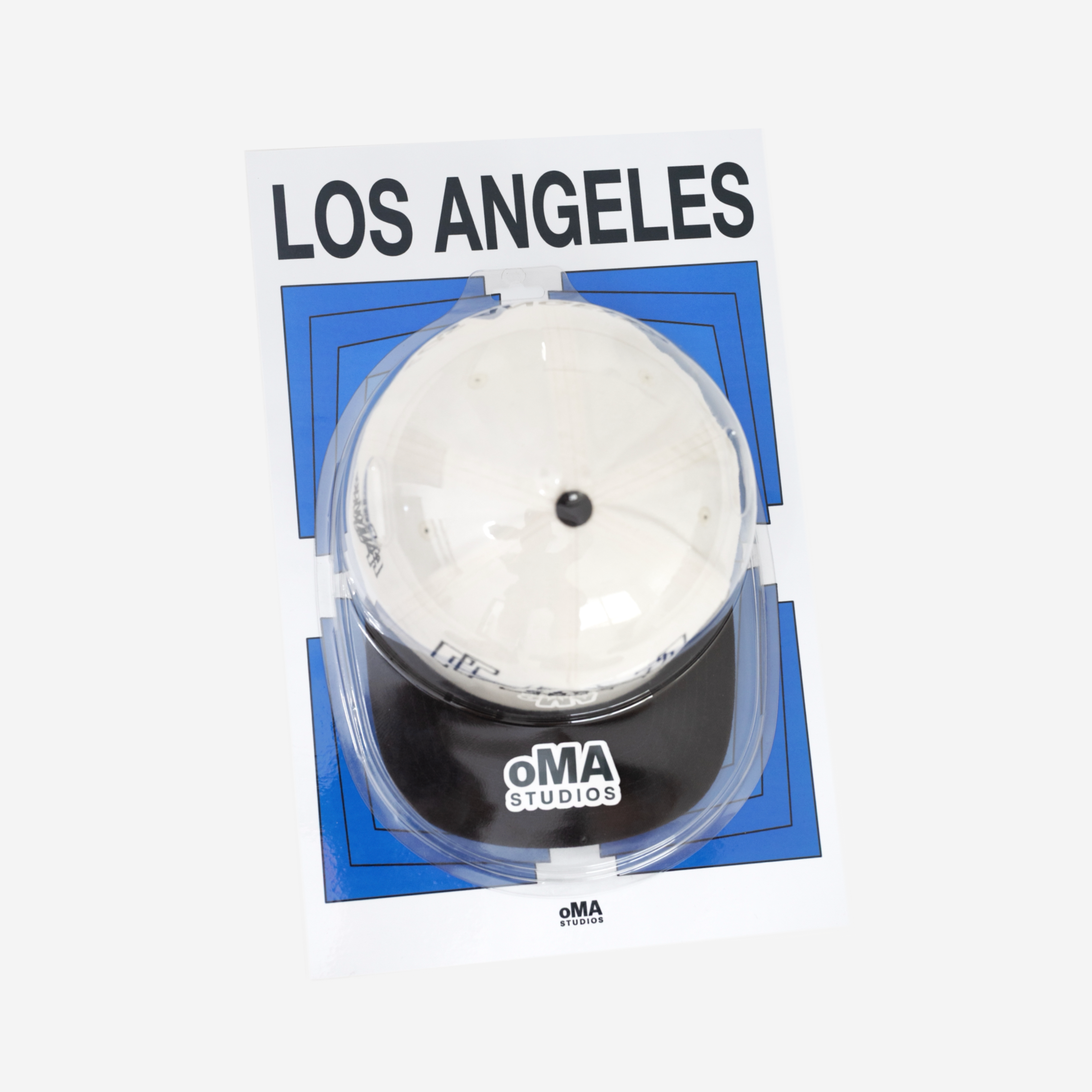 LOS ANGELES ART / HAT CASE (V5)