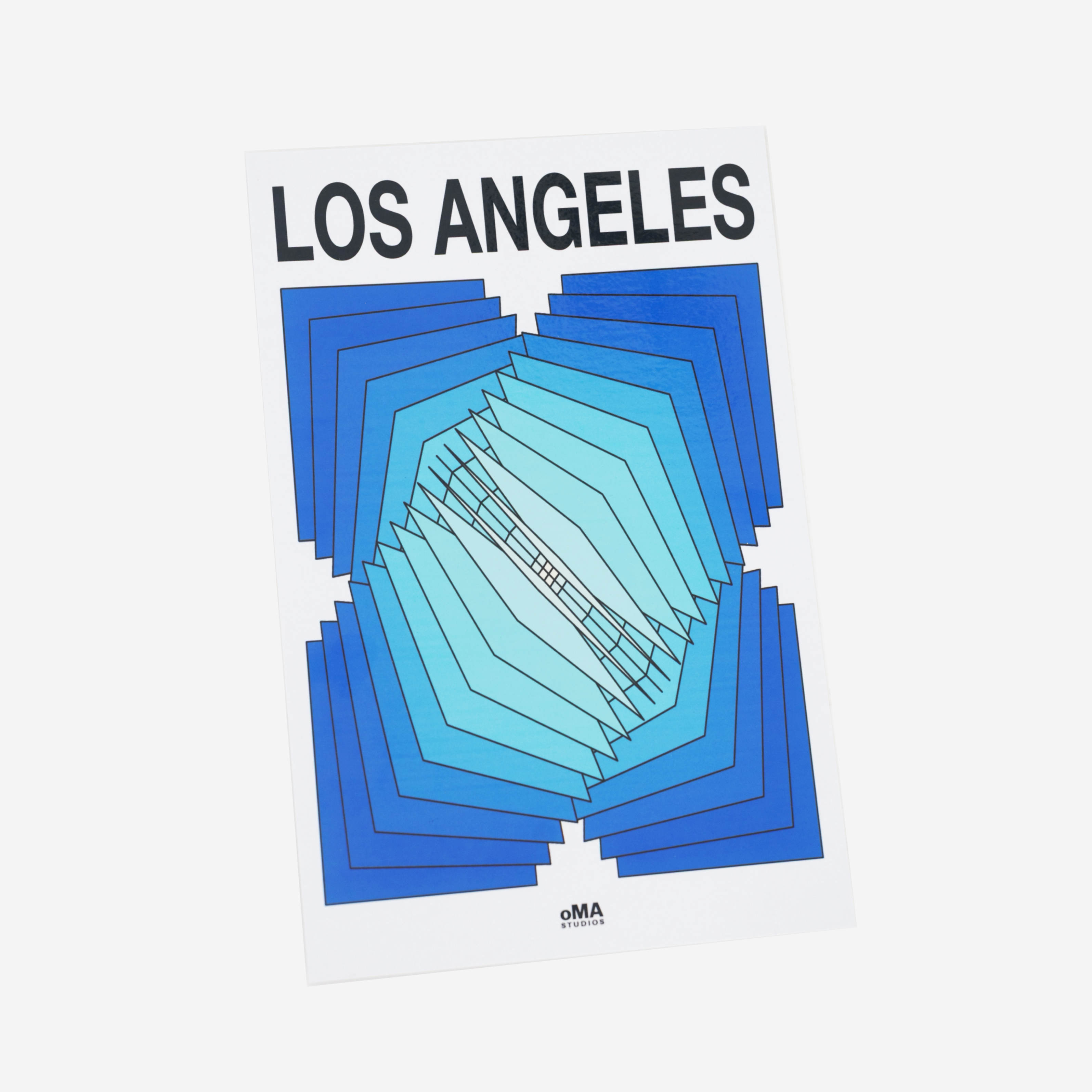 LOS ANGELES ART / HAT CASE (V5)