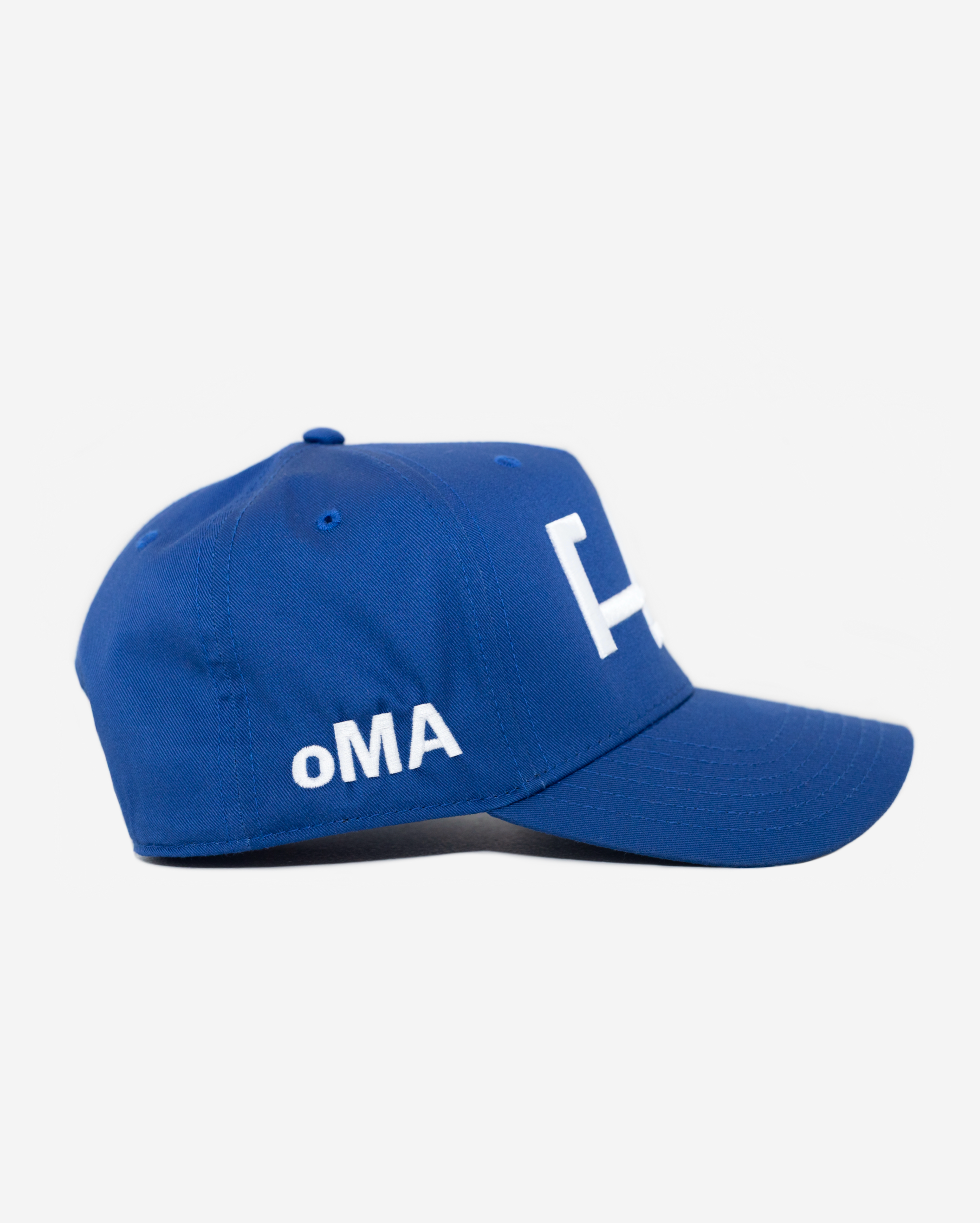 LoS ANGELES HAT CURVED BRIM (BLUE)