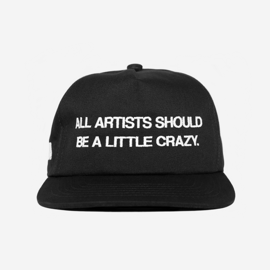 CRAZY ARTIST HAT