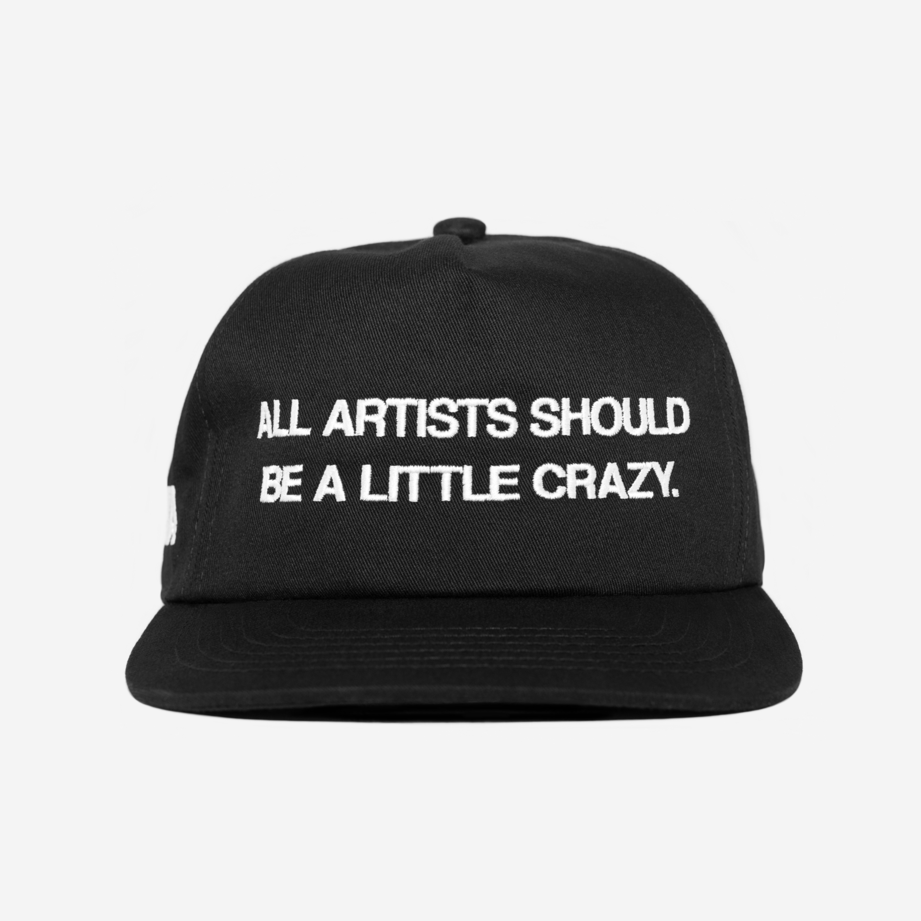 CRAZY ARTIST HAT