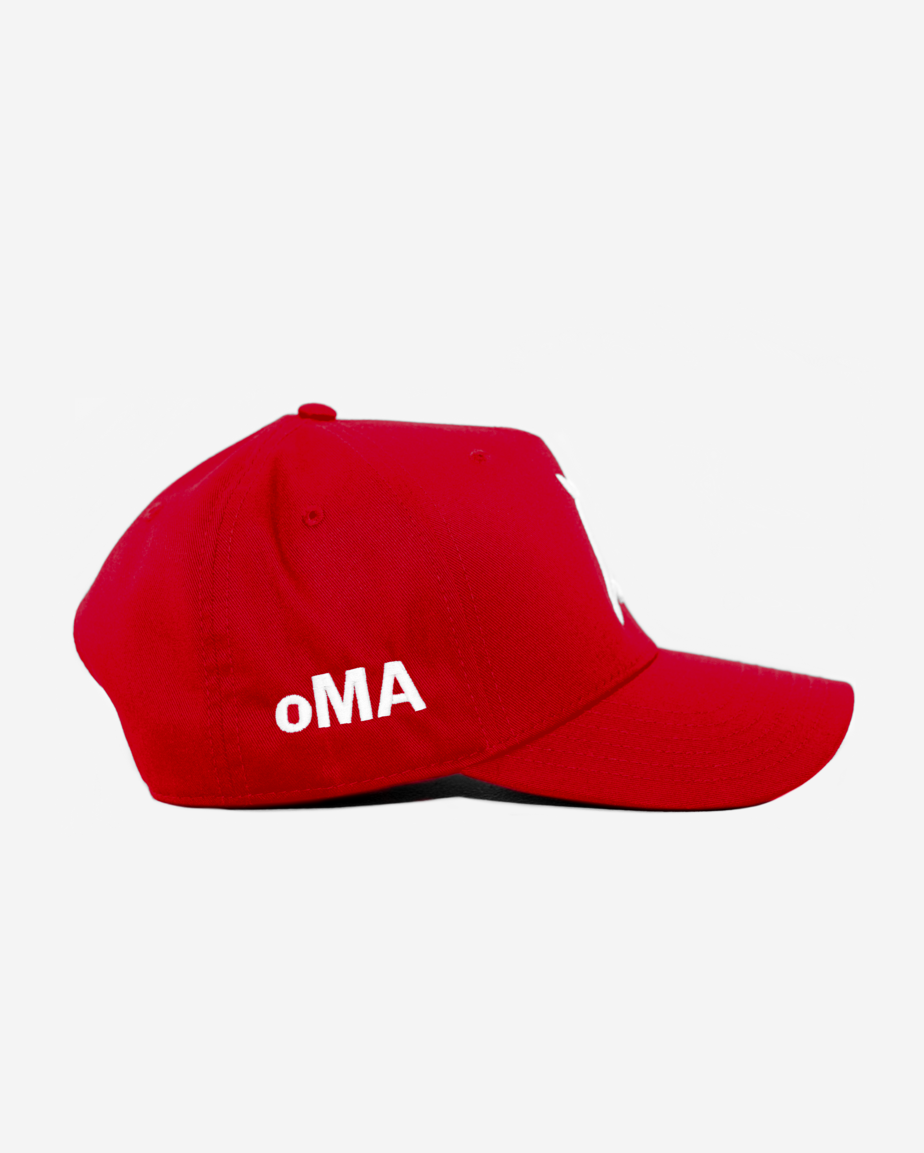 DETROIT HAT CURVED BRIM (RED)