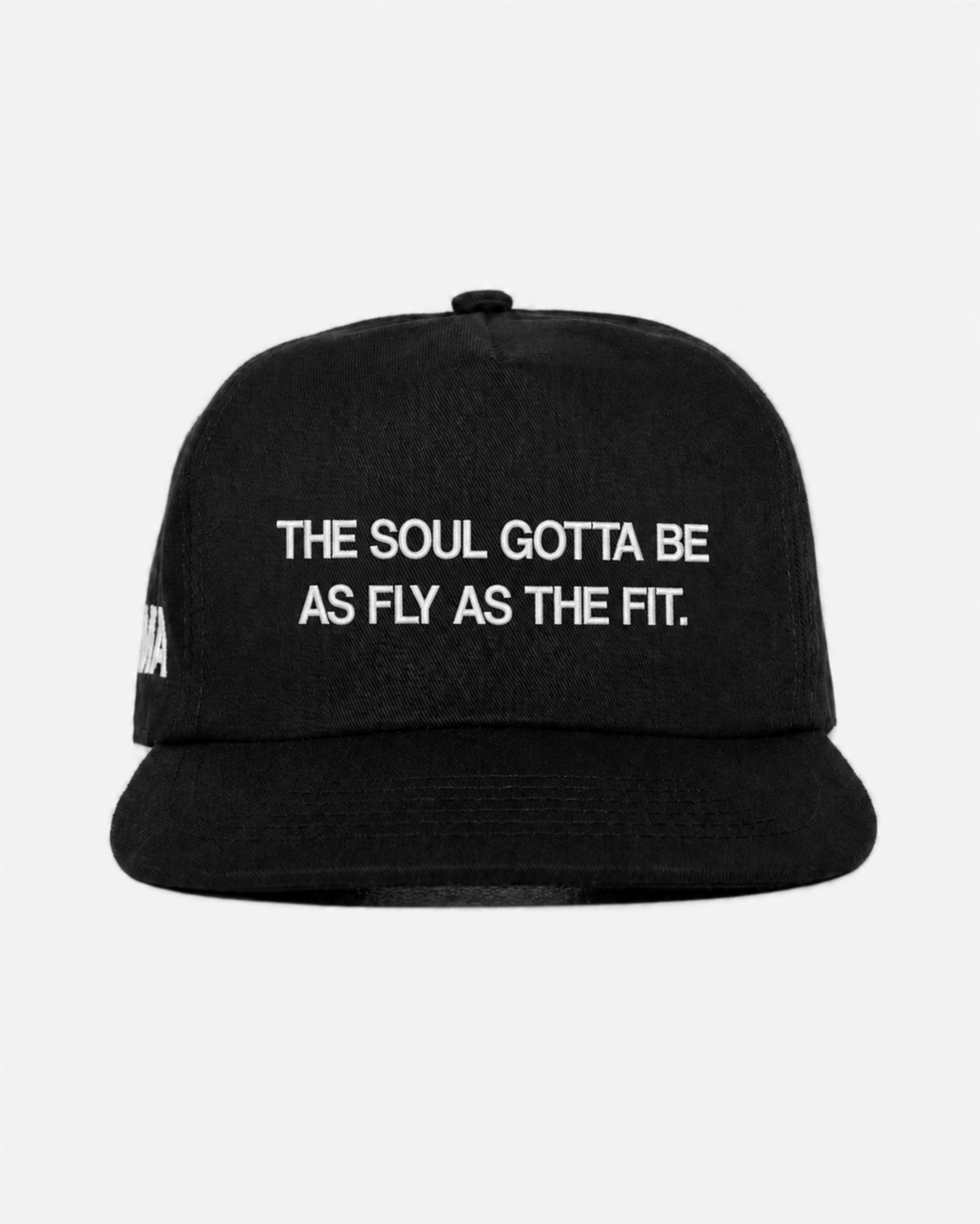 FLY FIT HAT