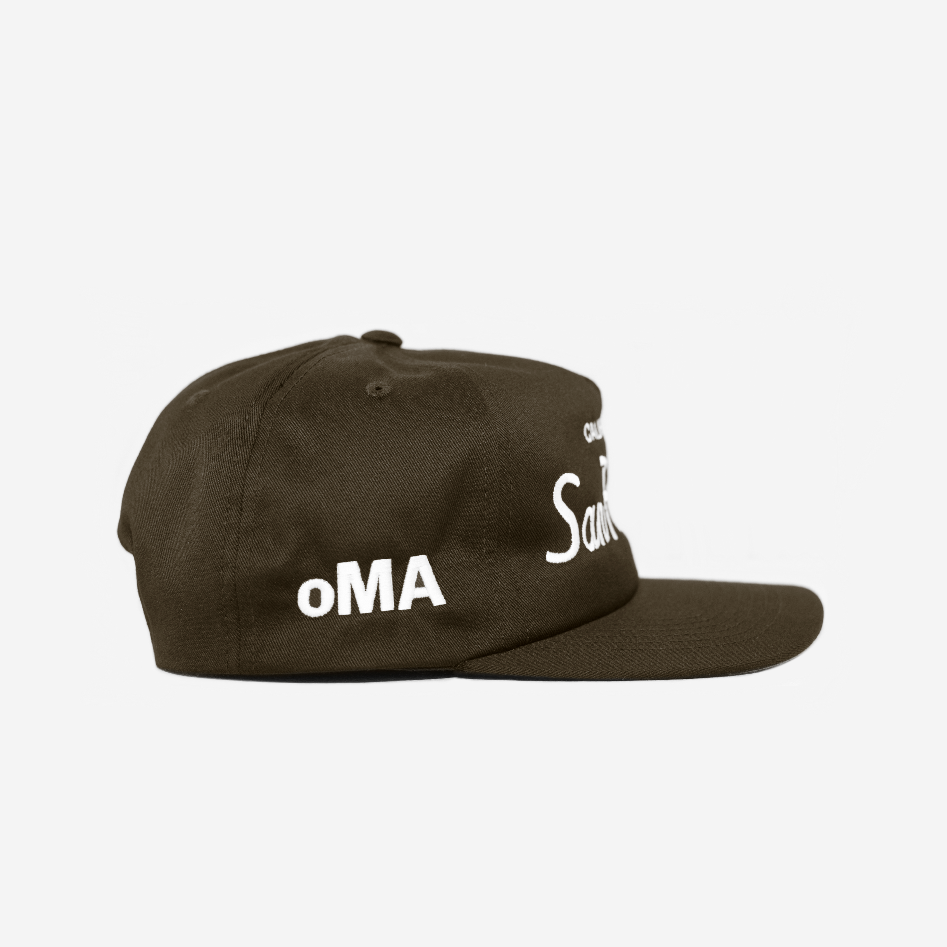 SAN FRANCISCo, CALIFoRNIA THRoWBACK HAT (BRoWN)