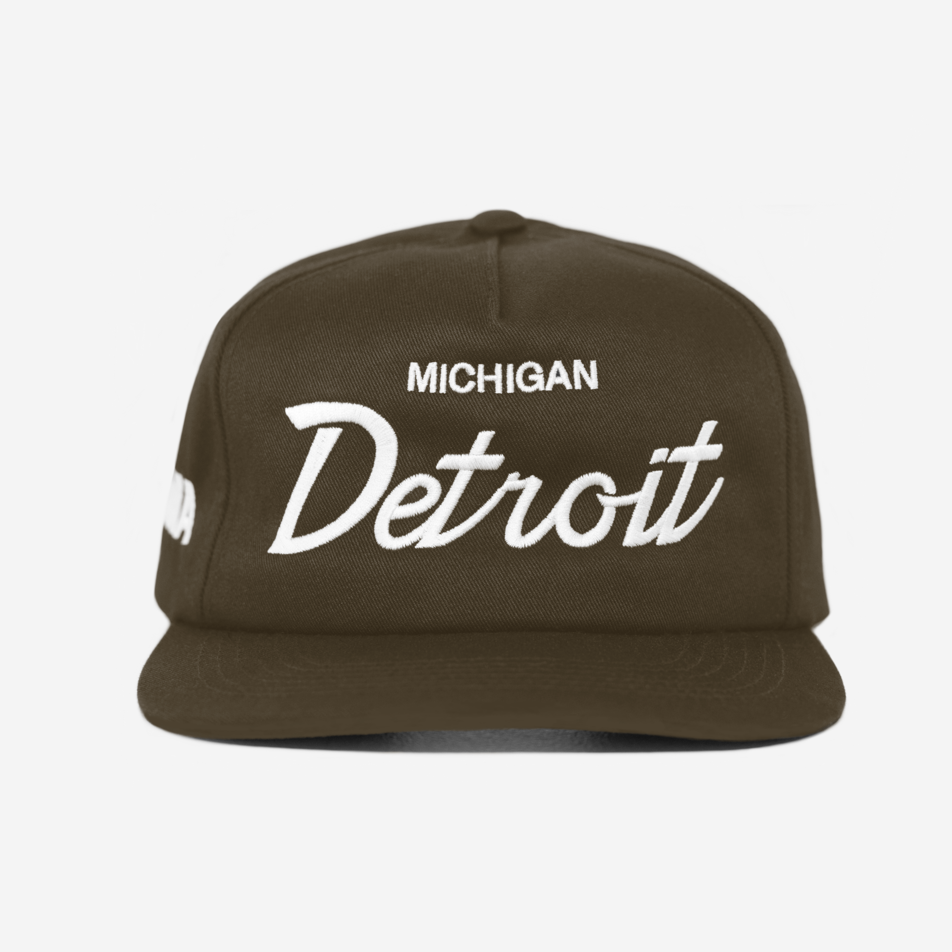 DETRoIT, MICHIGAN THRoWBACK HAT (BRoWN)