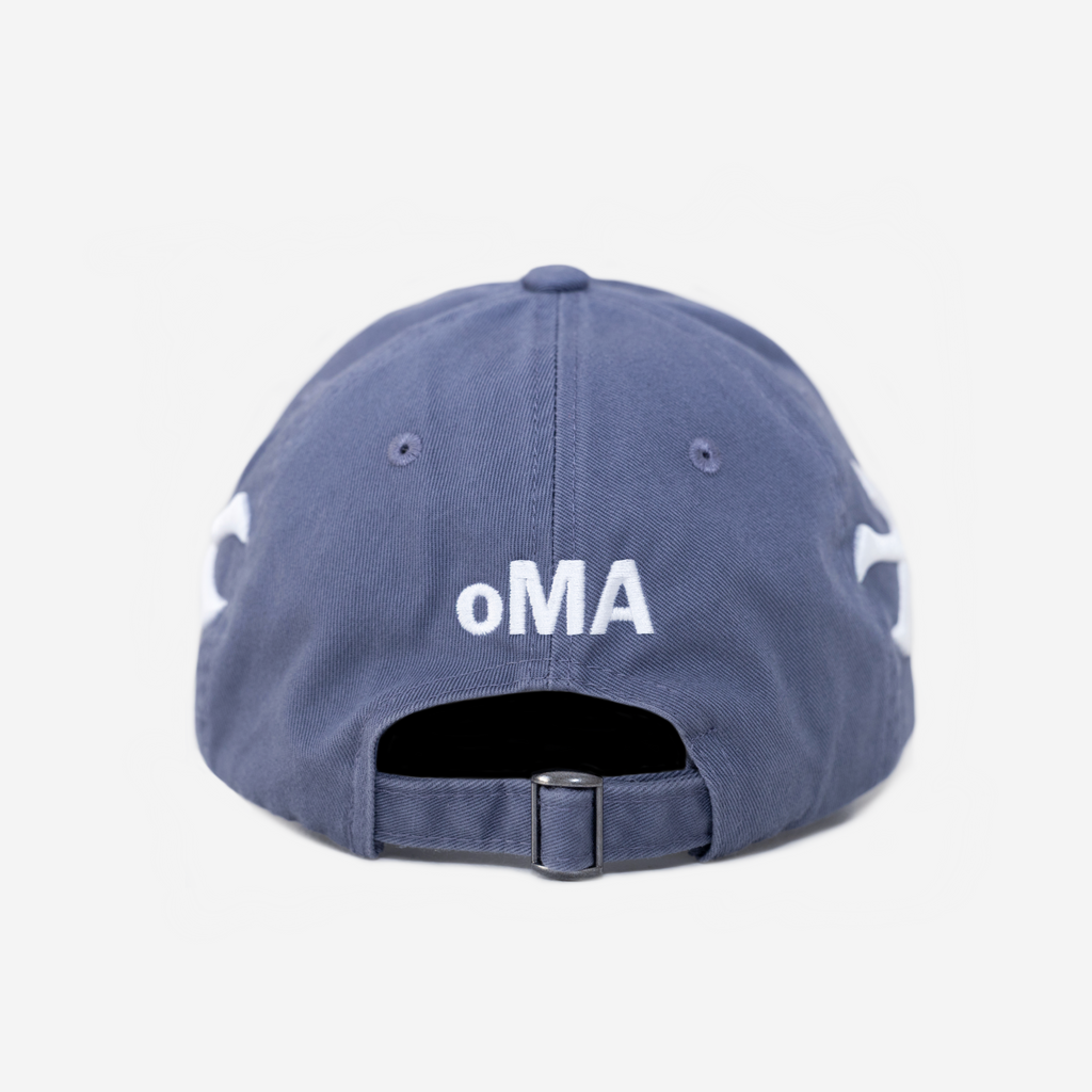 LoS ANGELES CROWN DISTRESSED HAT (VINTAGE BLUE)