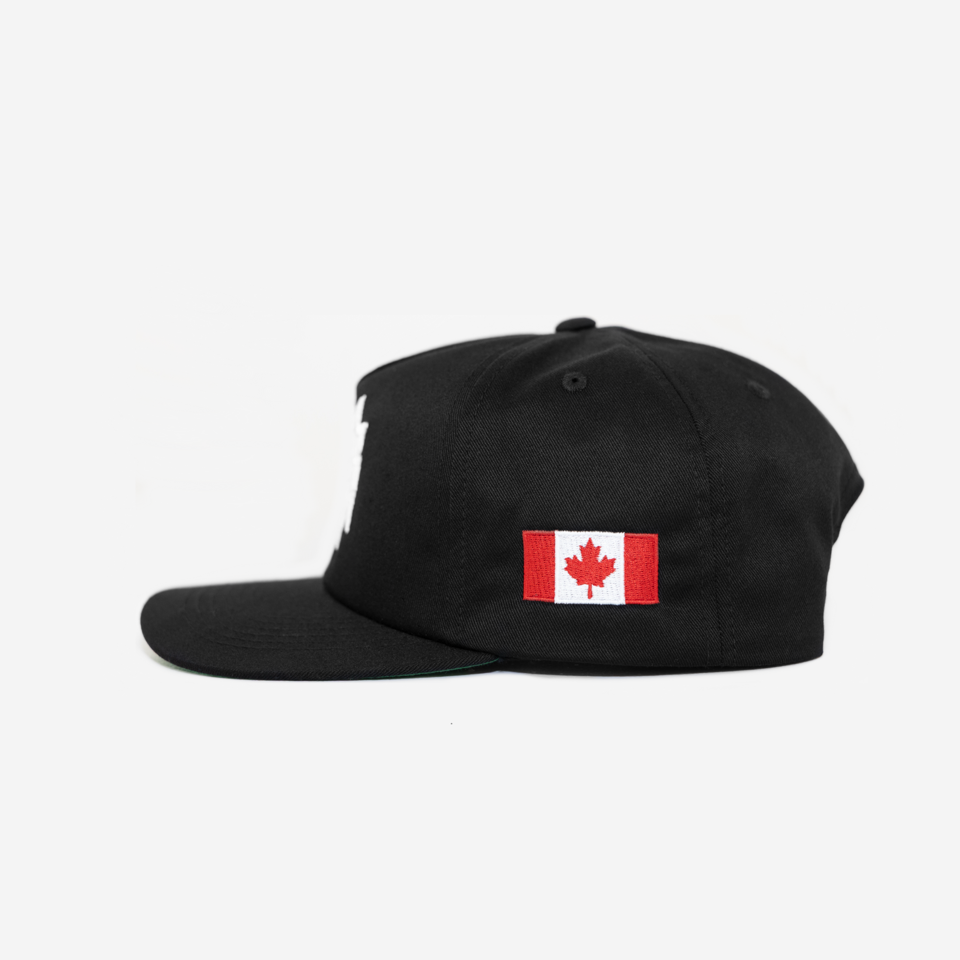 ToRoNTo GLoBAL GLITCH HAT (GREEN BRIM)