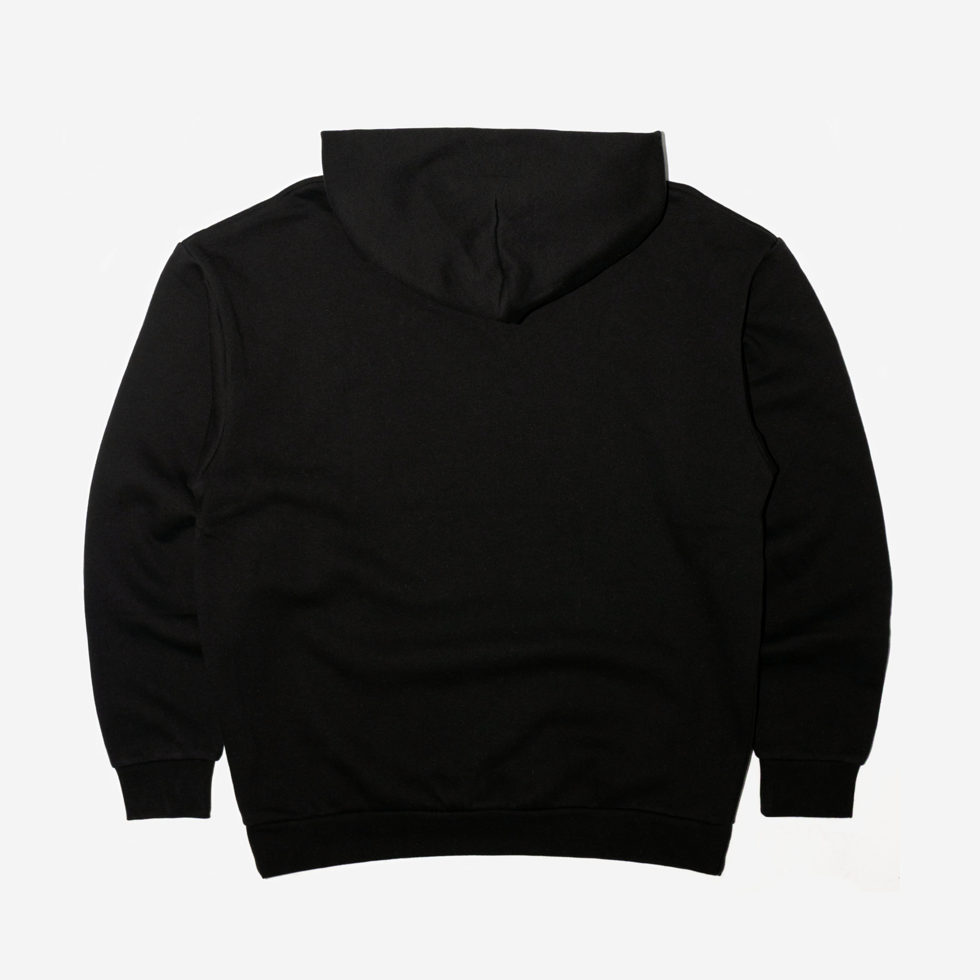 MINI LOGO HOODIE (BLACK)