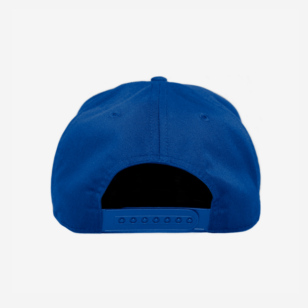 NYK "WoRK HARD" CURVED BRIM HAT (BLUE)