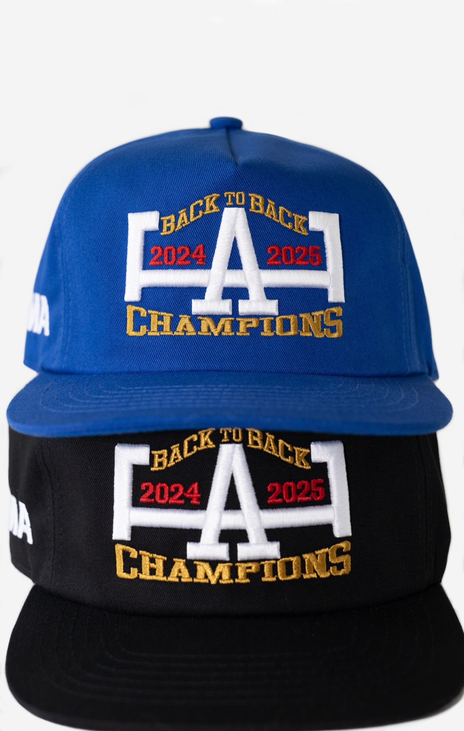 LA 2025 CHAMPIONS HAT (BLUE)