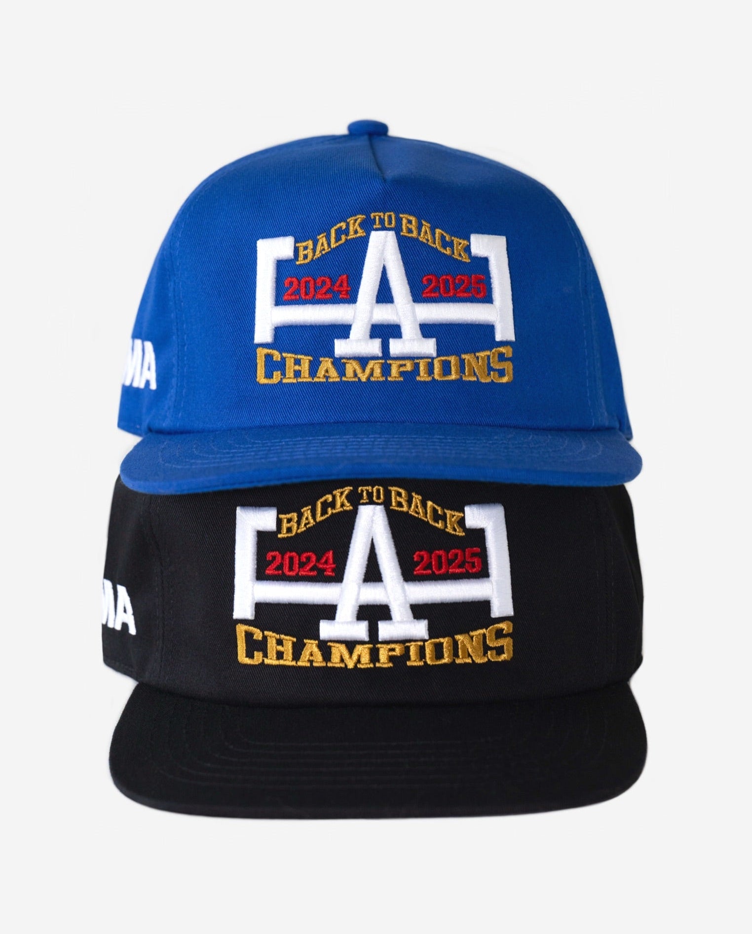 LA 2025 CHAMPIONS HAT (BLACK)
