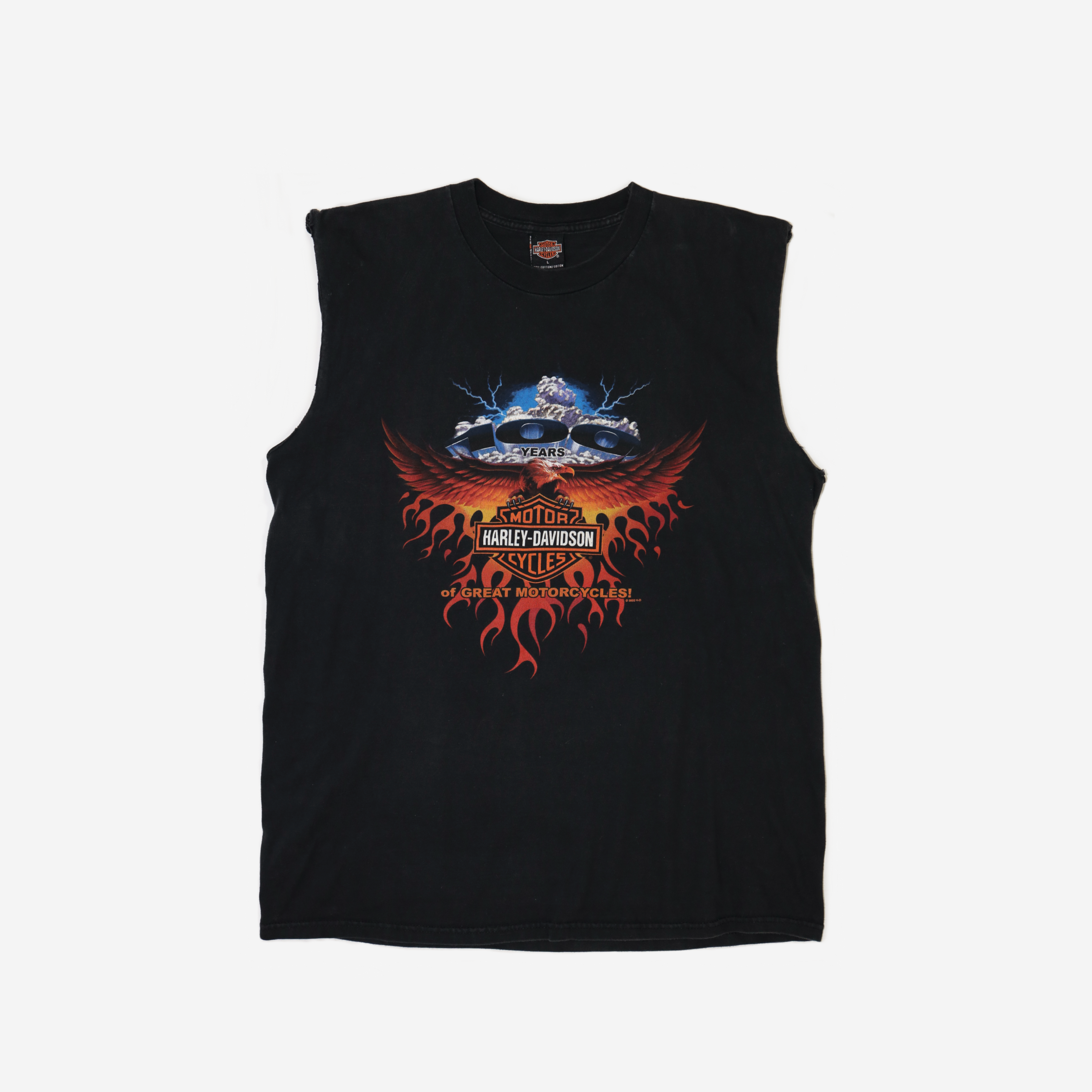 HARLEY DAVIDSON 100 YEAR VINTAGE SHIRT