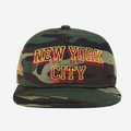 NEW YoRK CITY 2D HAT (CAMo)