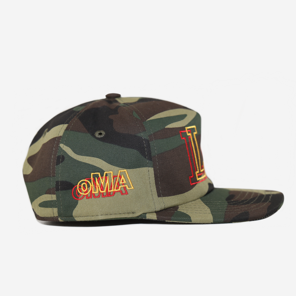 LA 2D HAT (CAMo)