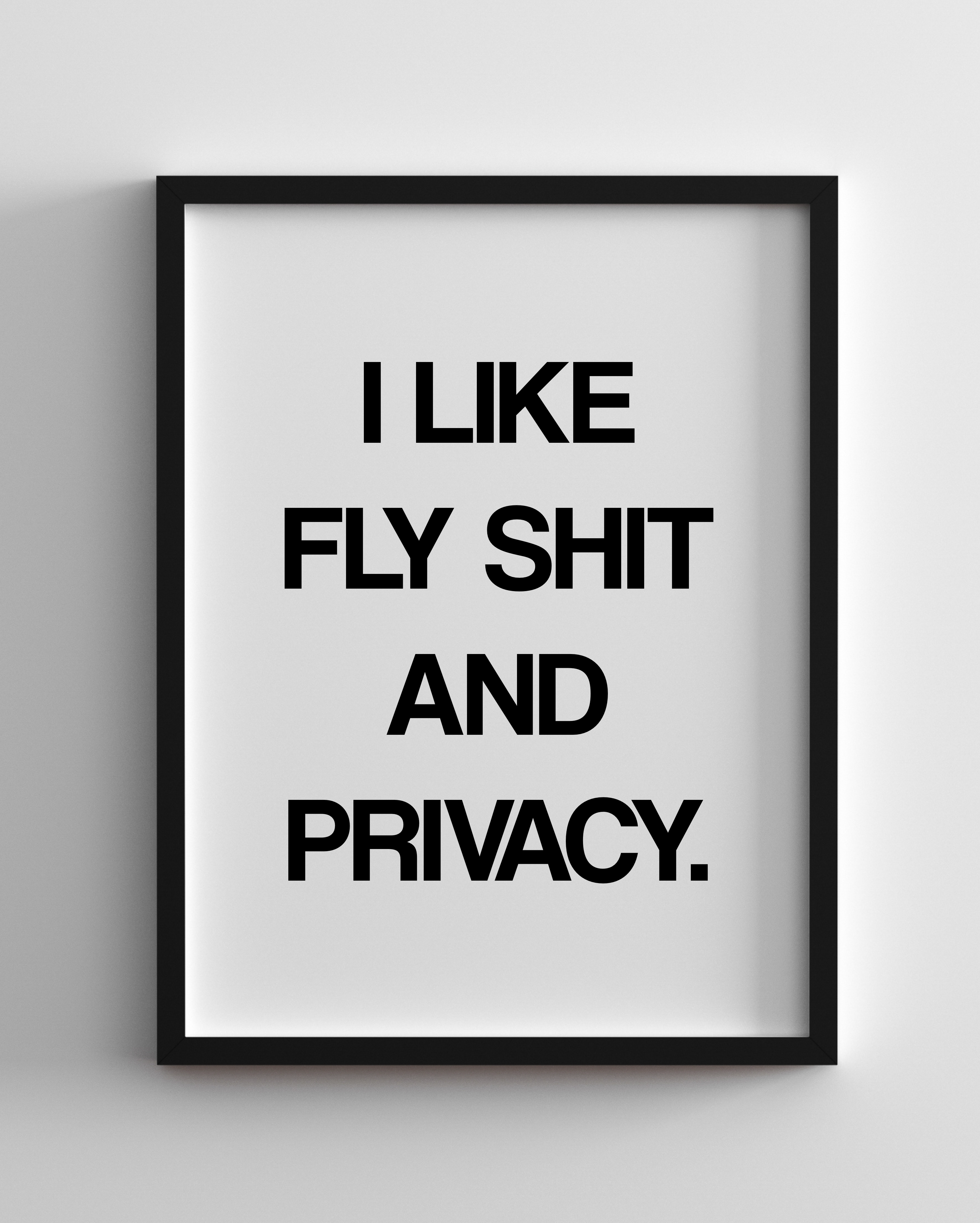 FLY SHIT ART PRINT