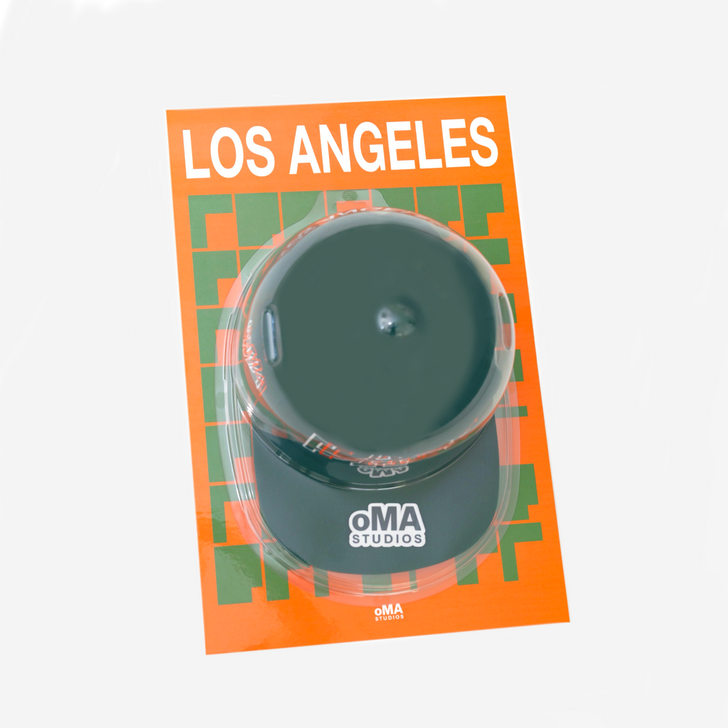 LOS ANGELES ART / HAT CASE (V4)
